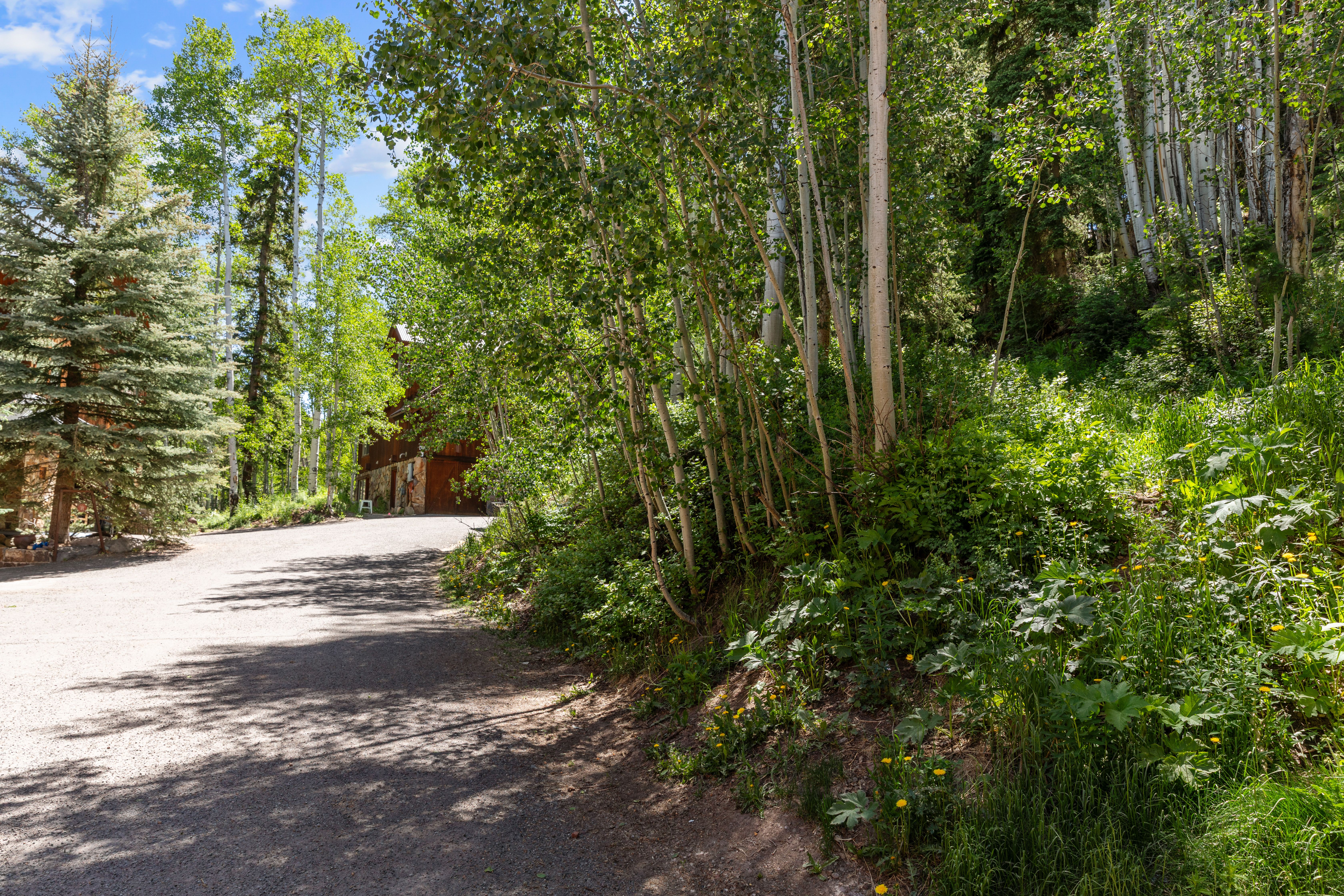 8 Spring Creek Drive 