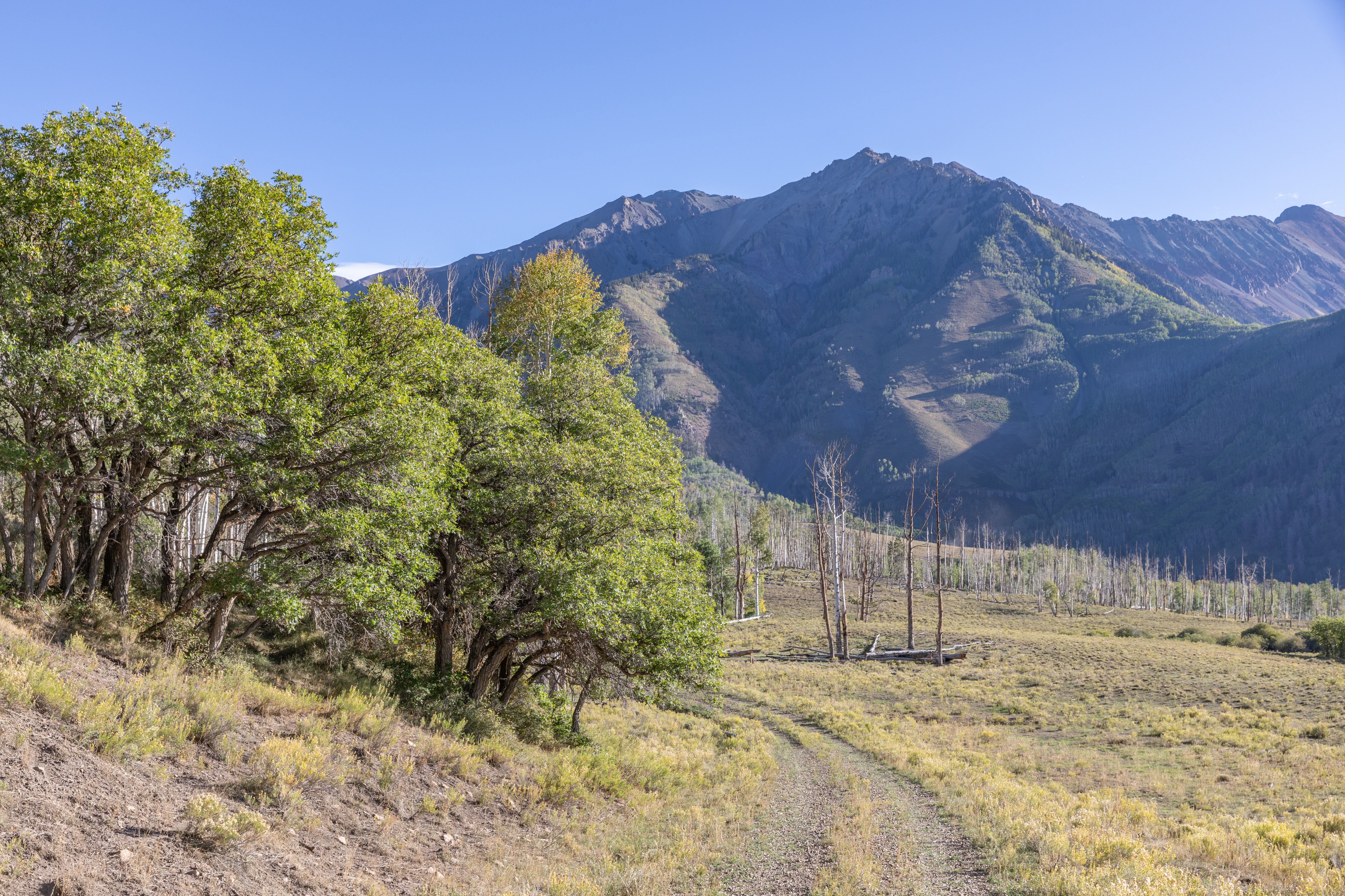 TBD Three Sisters Way Unit# 6