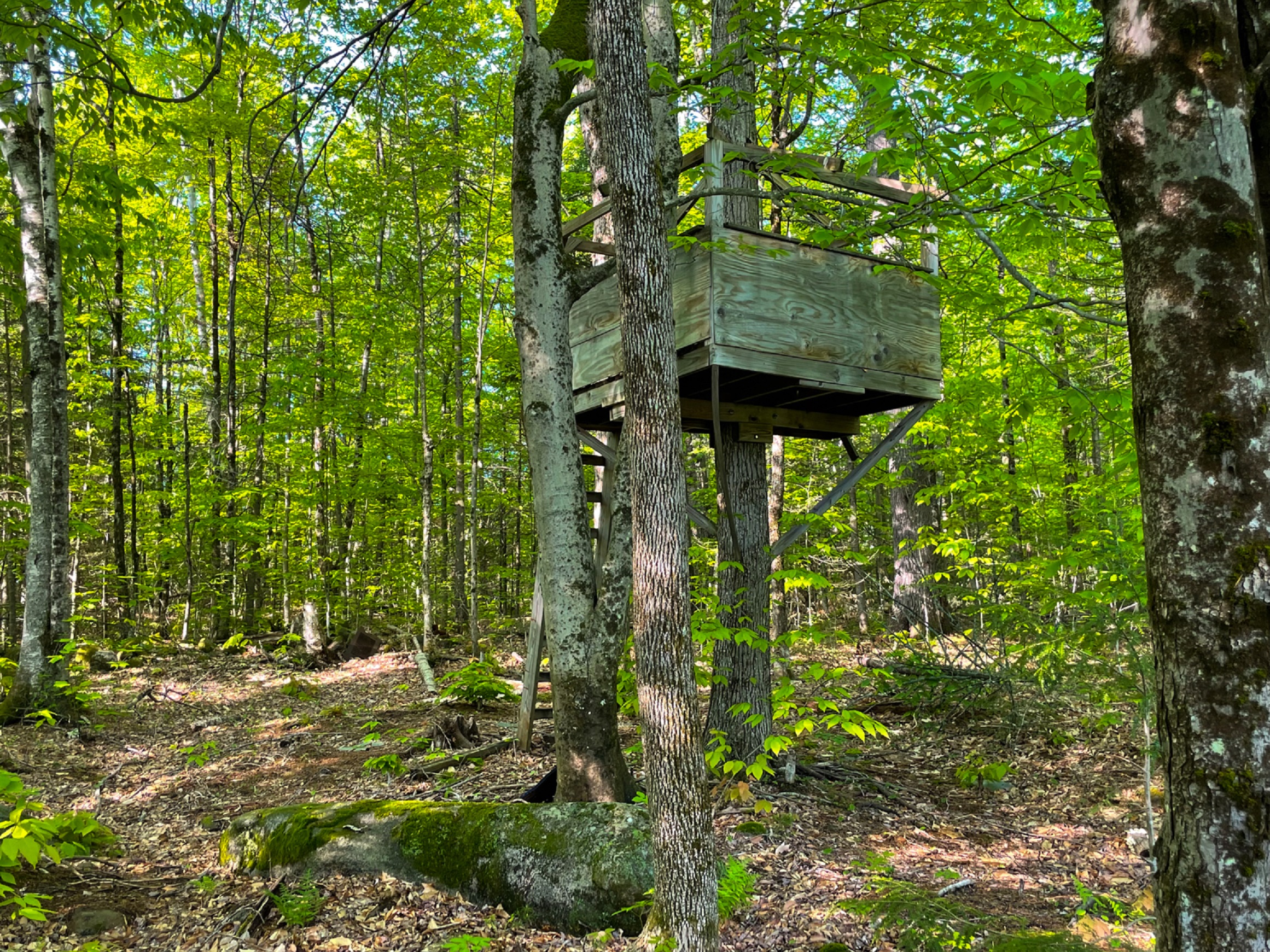 202 Birch Acres Road