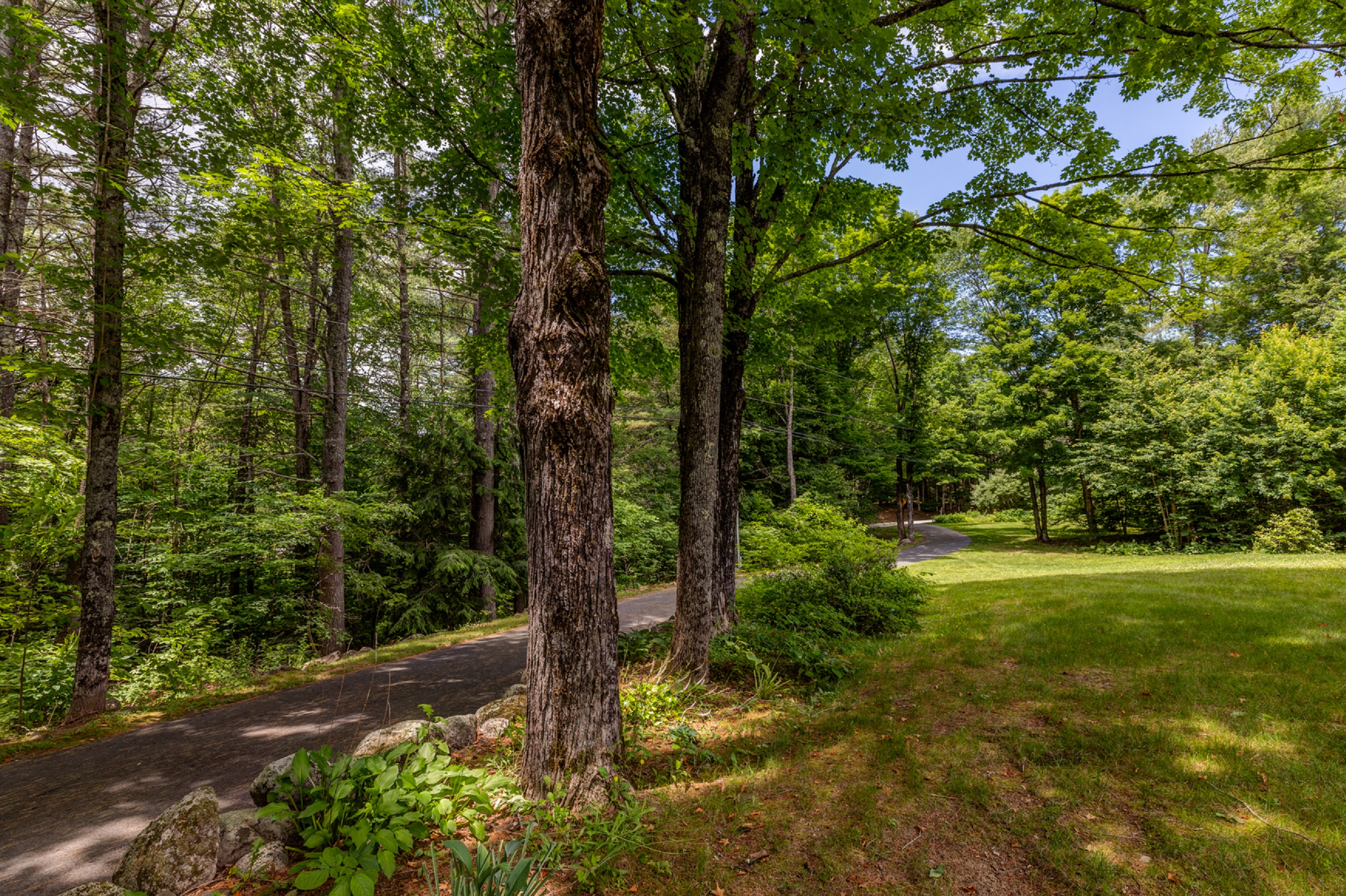 116 Knollwood Road