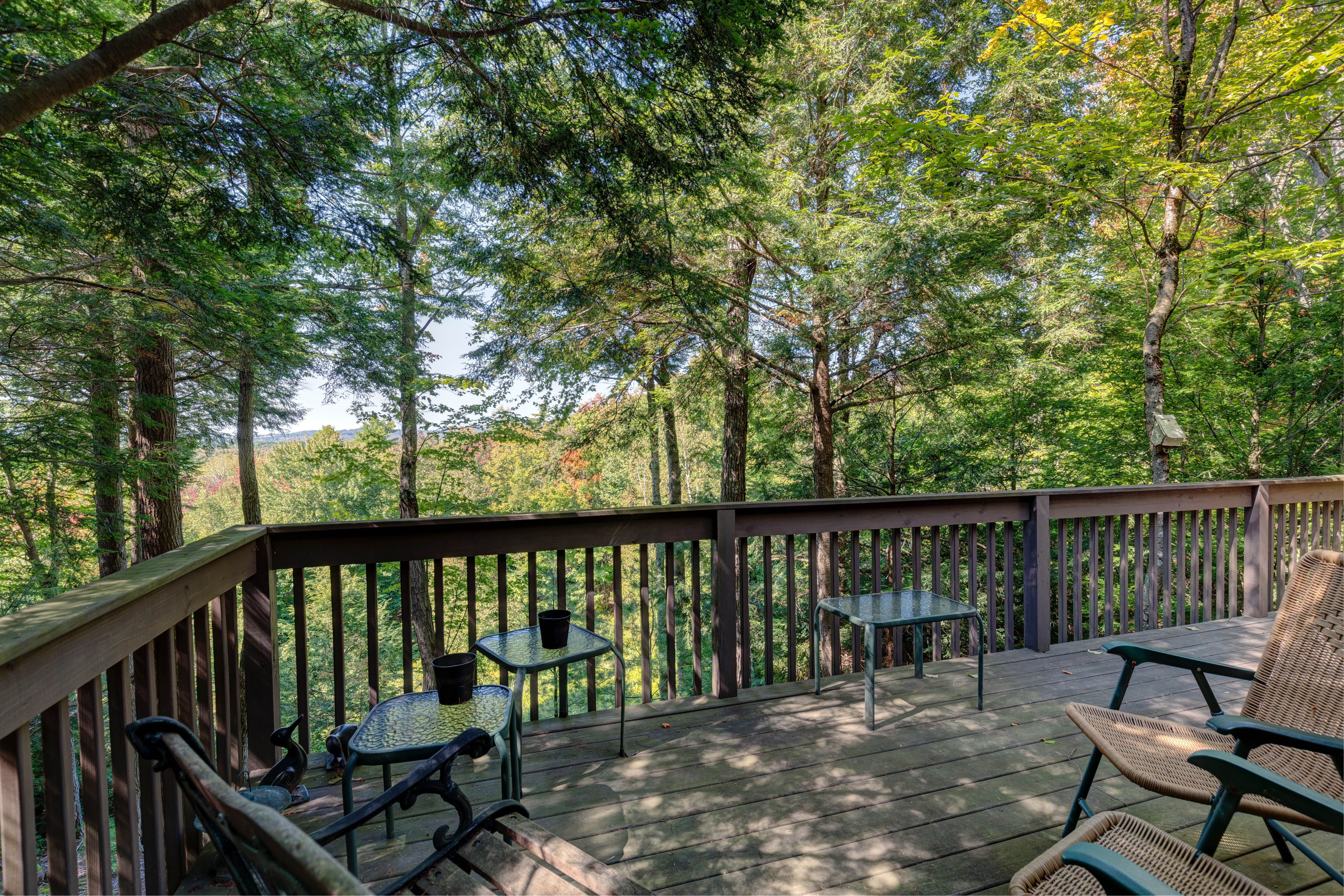 216 Woodland Trace