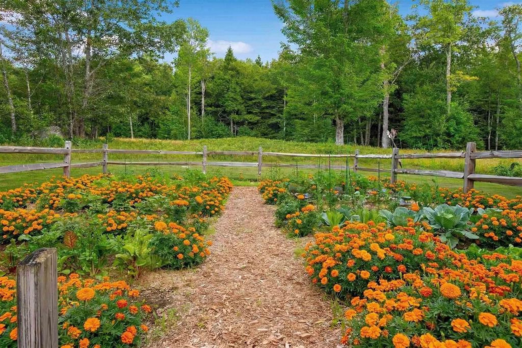 35 Wilmot Center Road