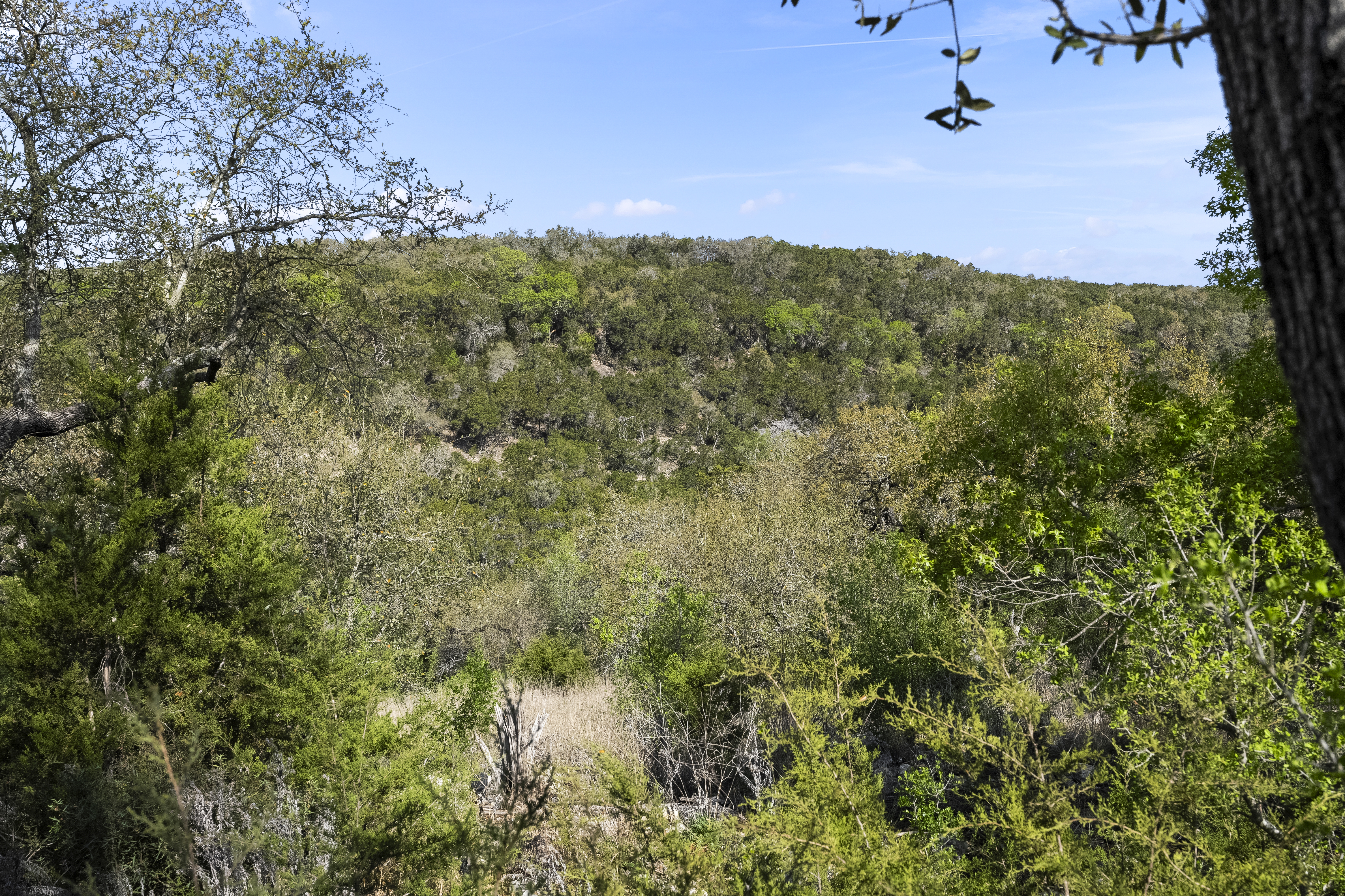 1333 Powder Ridge 
