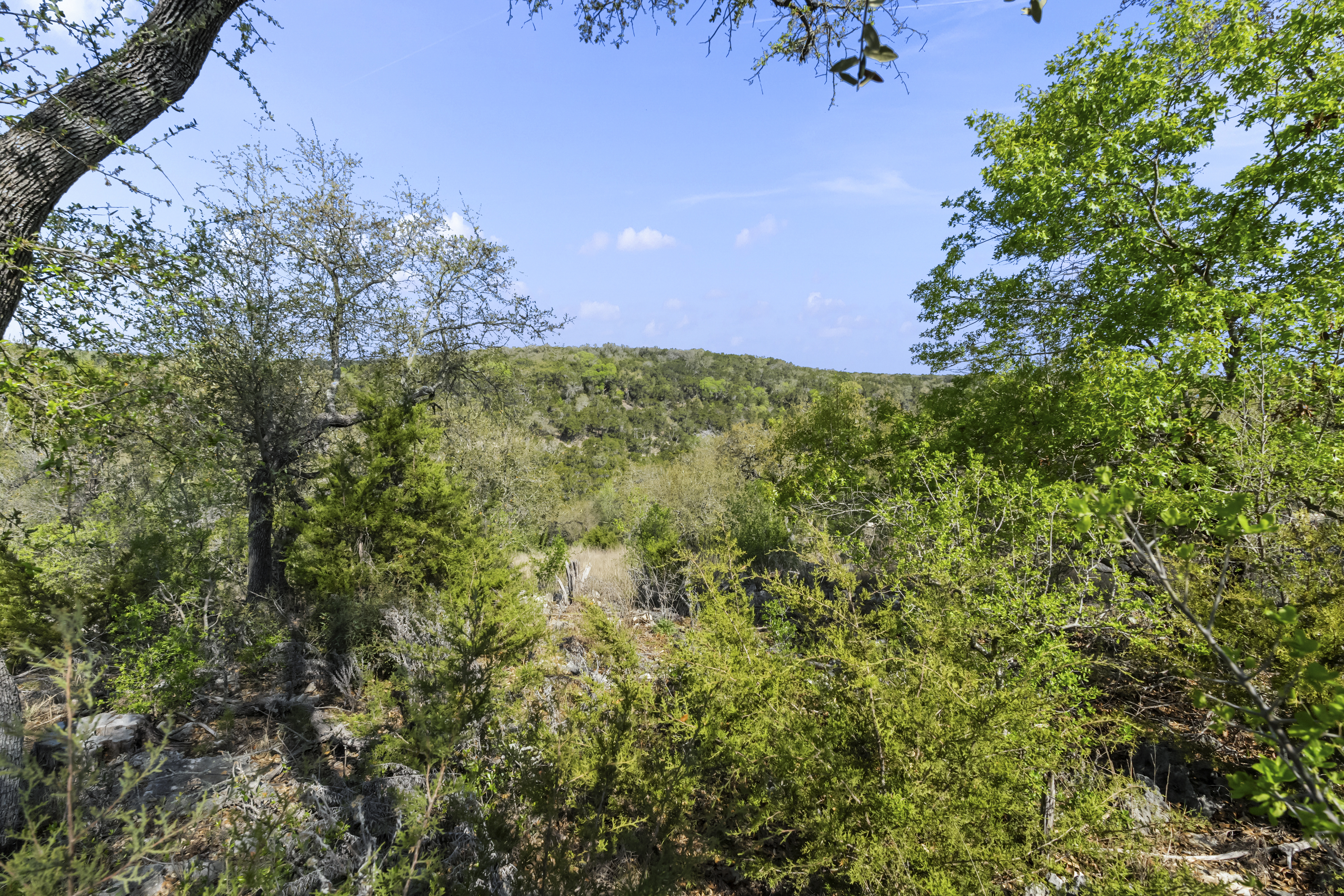 1333 Powder Ridge 