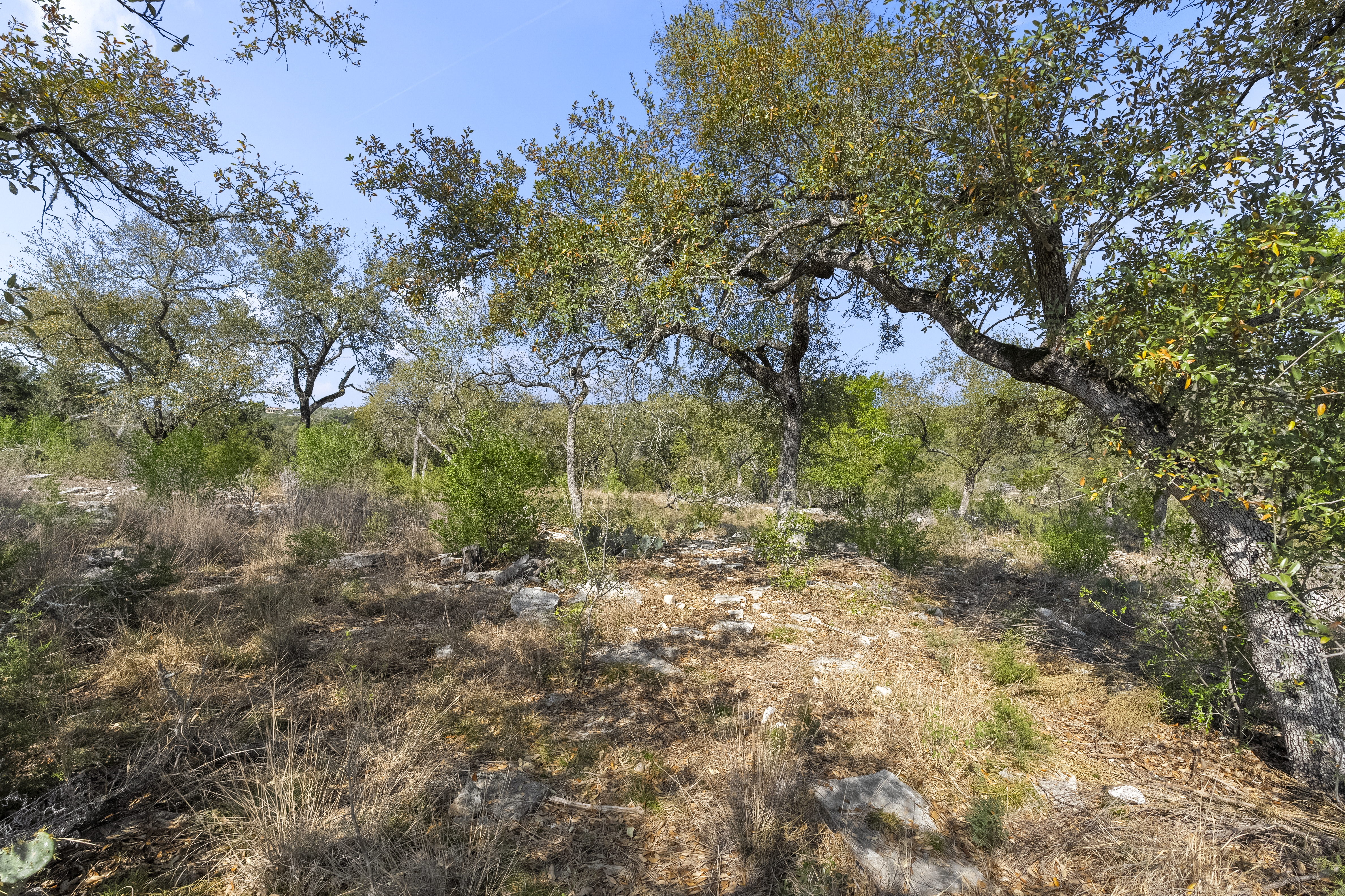 1333 Powder Ridge 