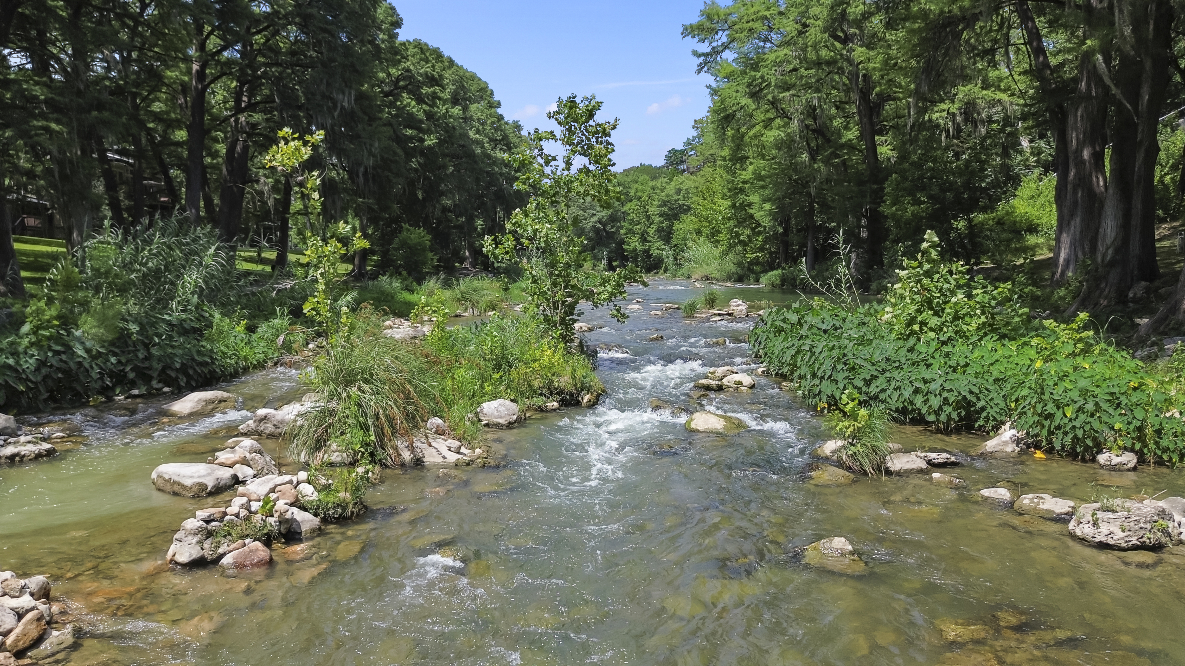 1033 Gruene Road 