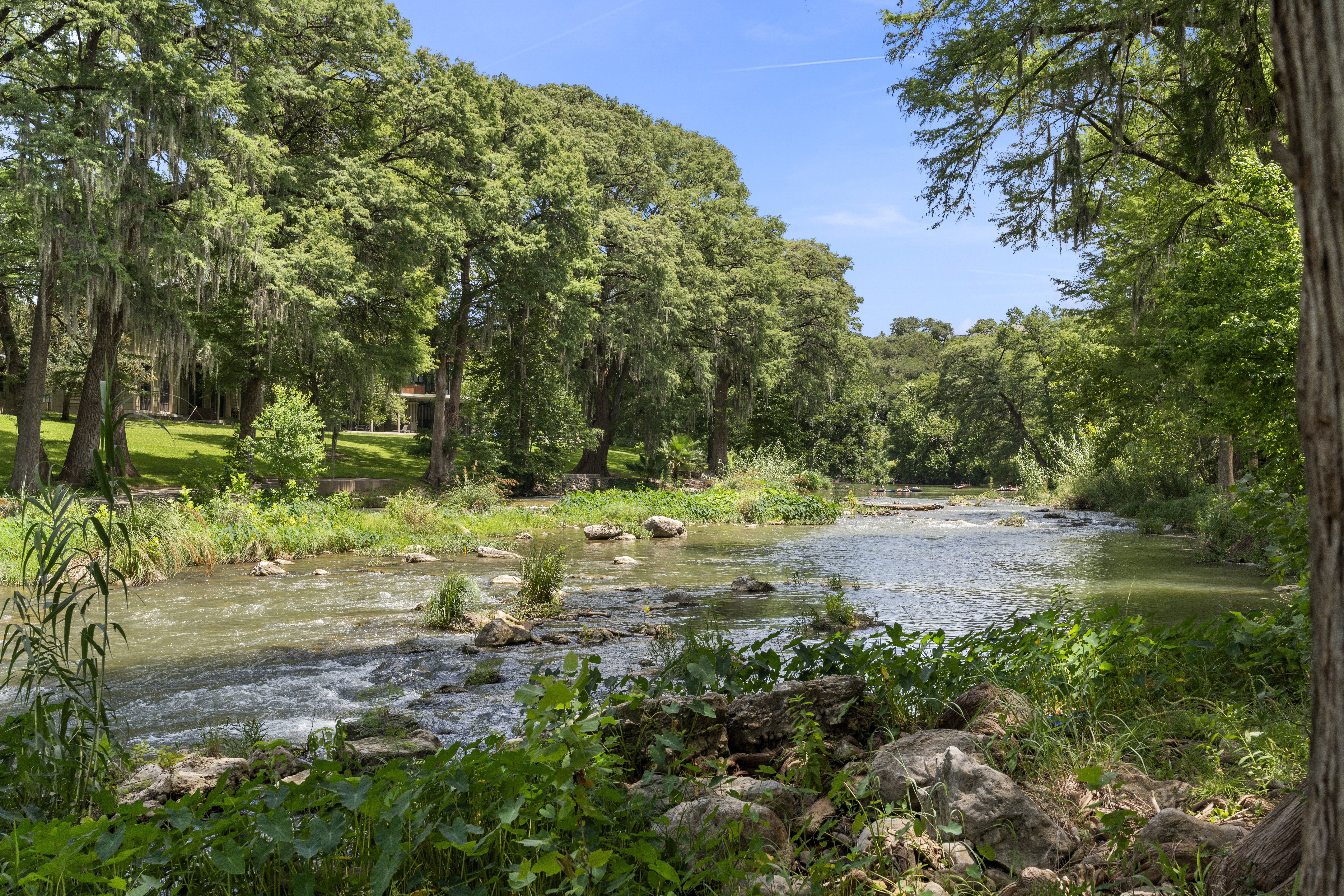 1033 Gruene Road 