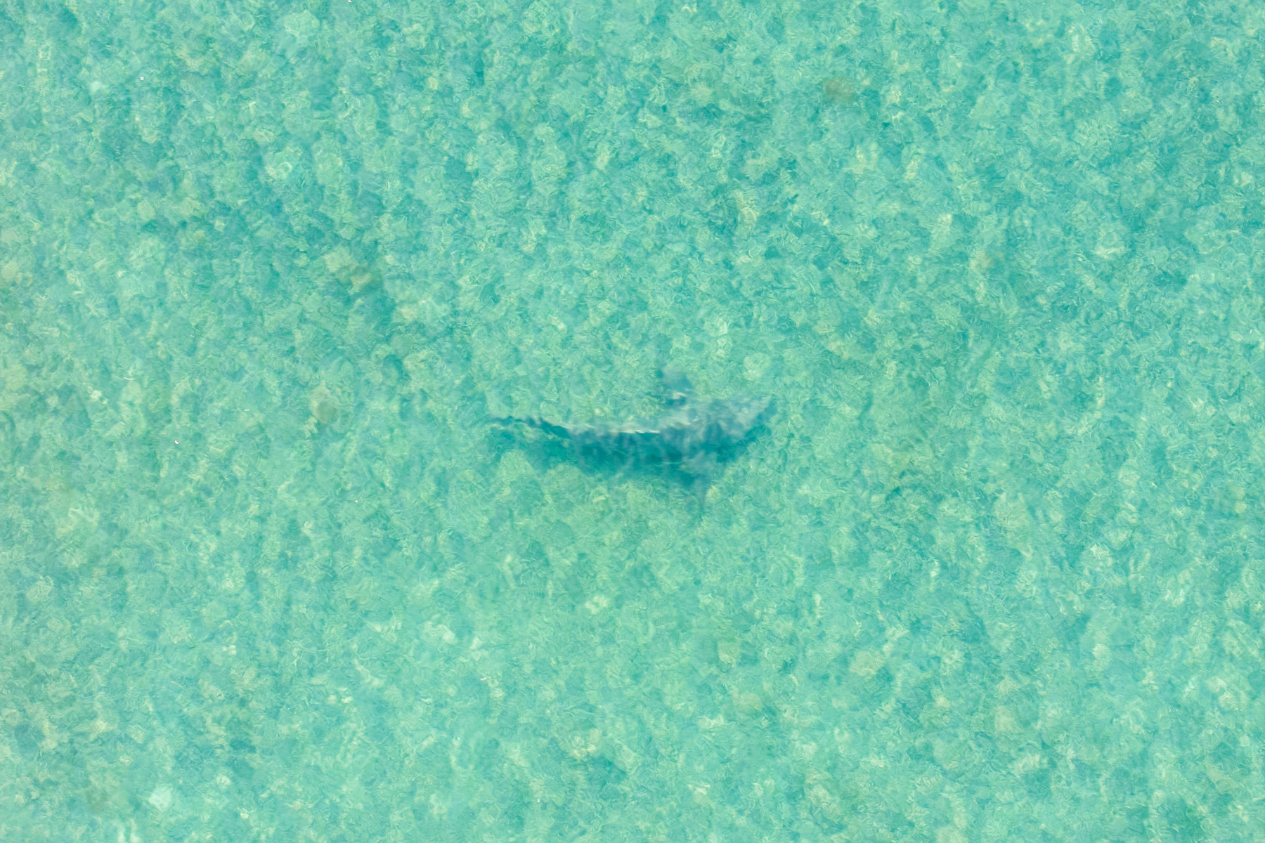 79775 Overseas Highway