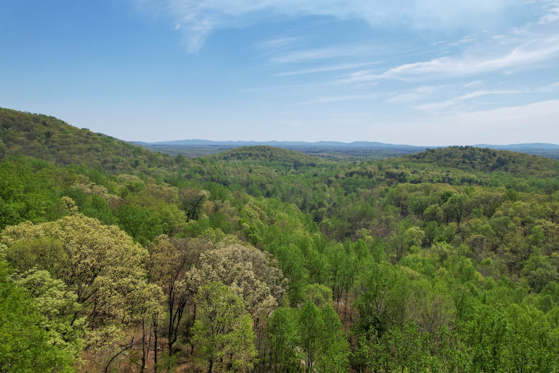 3506 Peavine Hollow Road