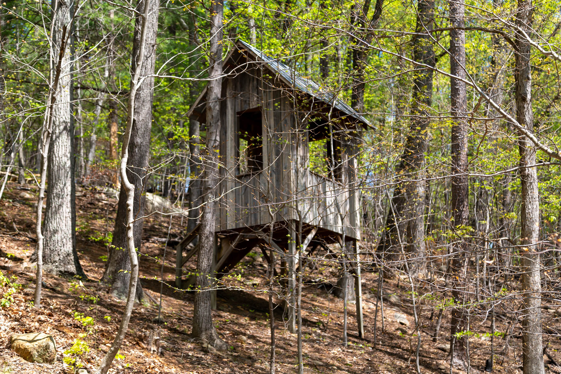 3506 Peavine Hollow Road