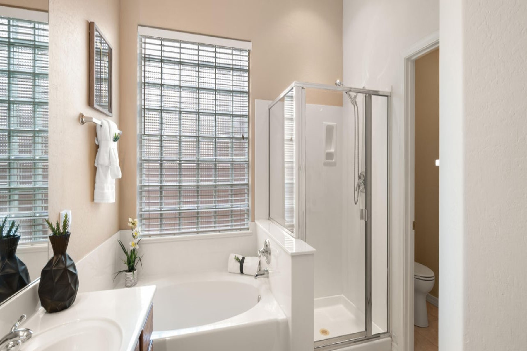 10541 E Firewheel Drive 