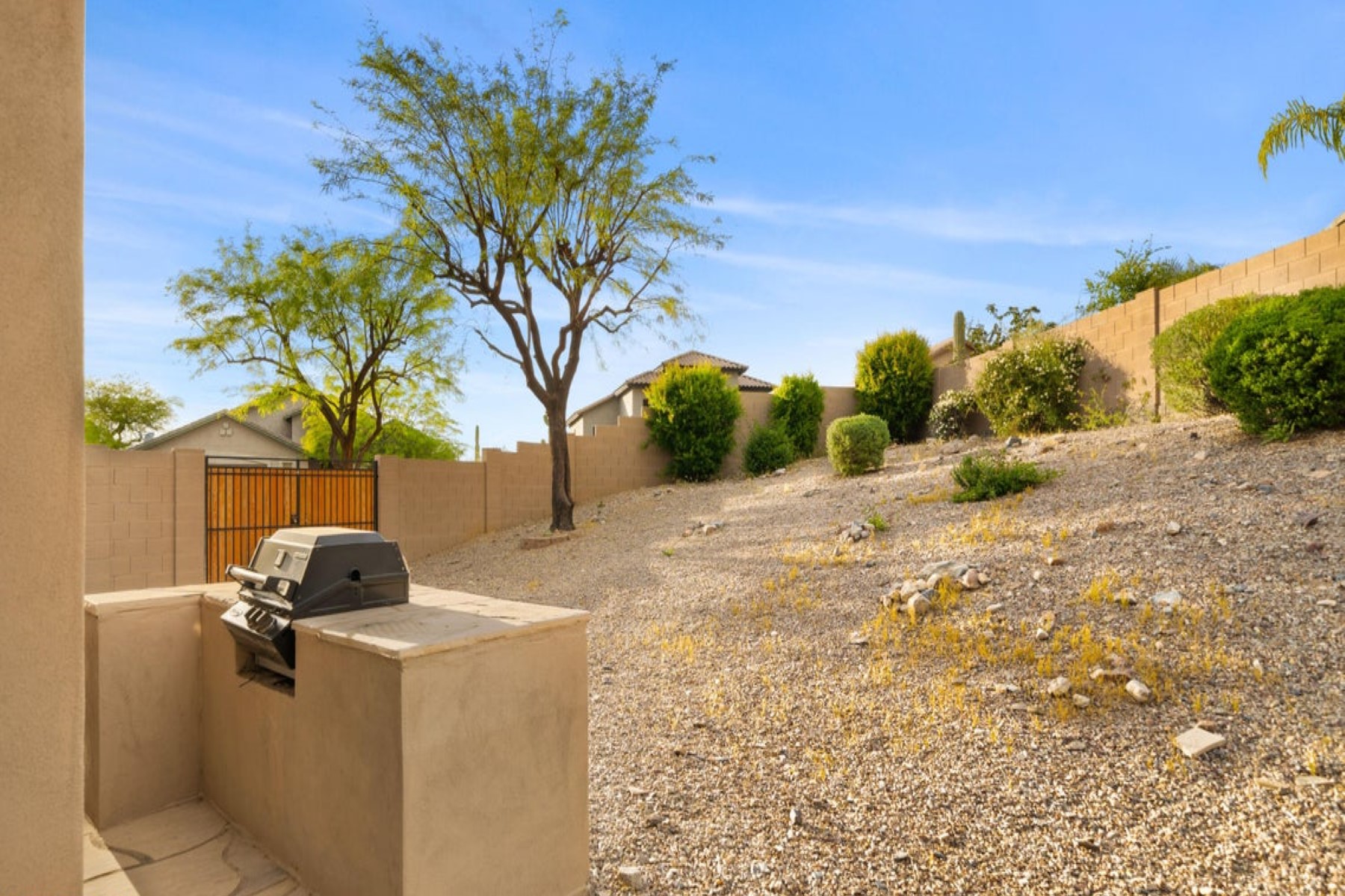 10541 E Firewheel Drive 