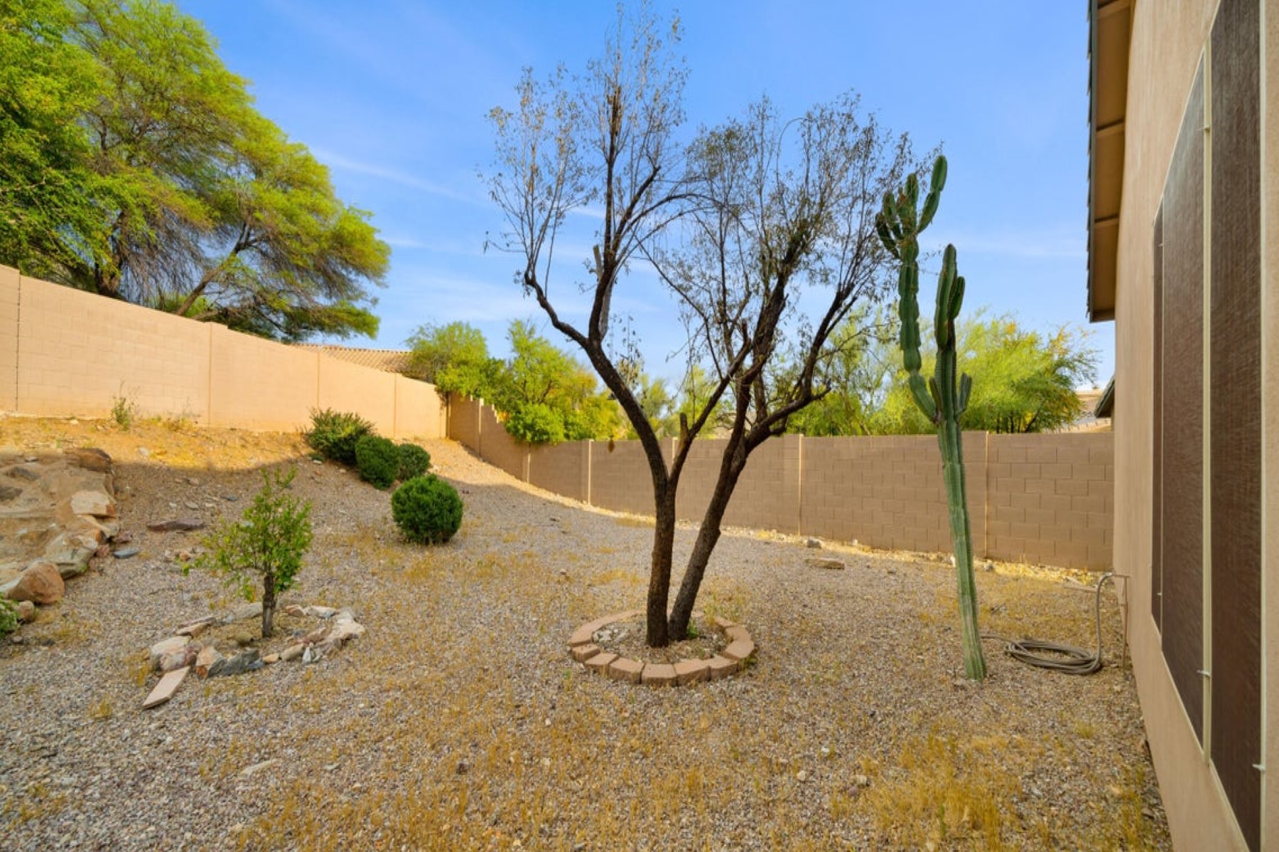 10541 E Firewheel Drive 