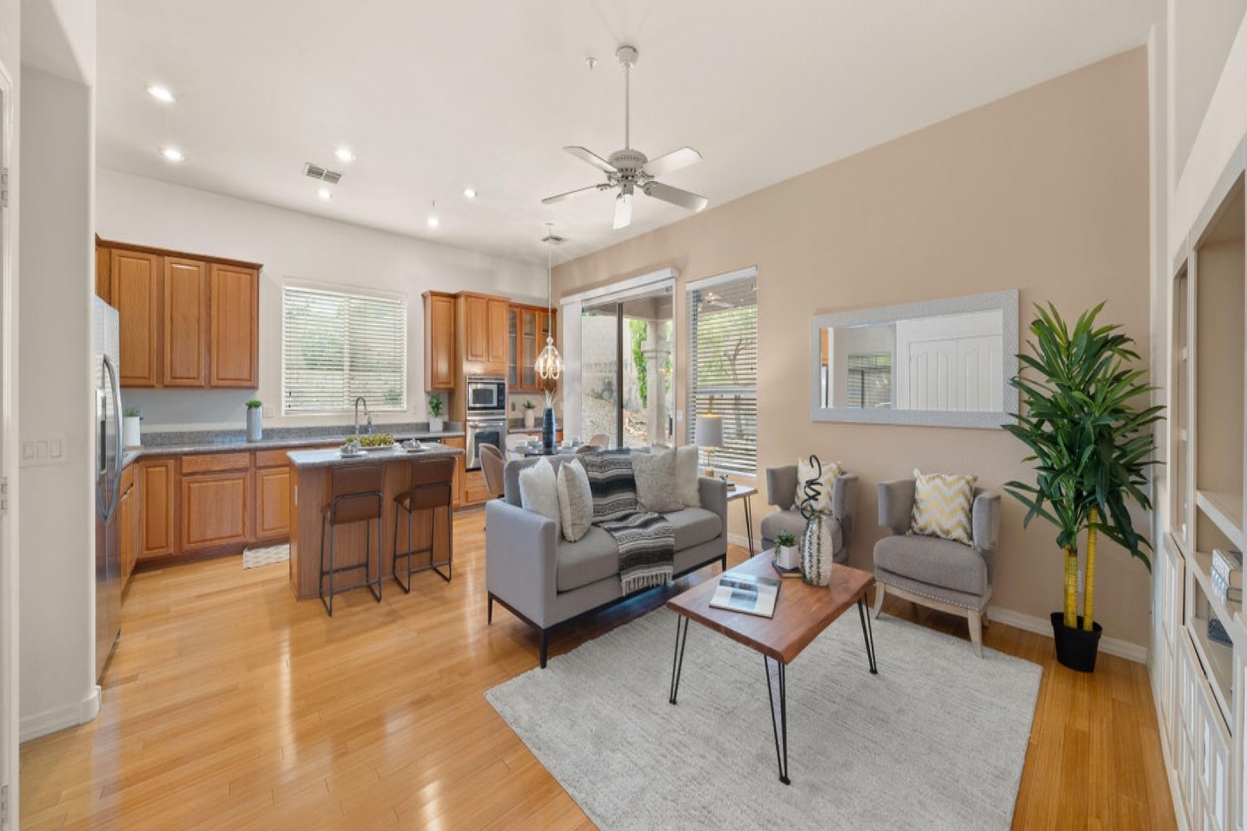 10541 E Firewheel Drive 