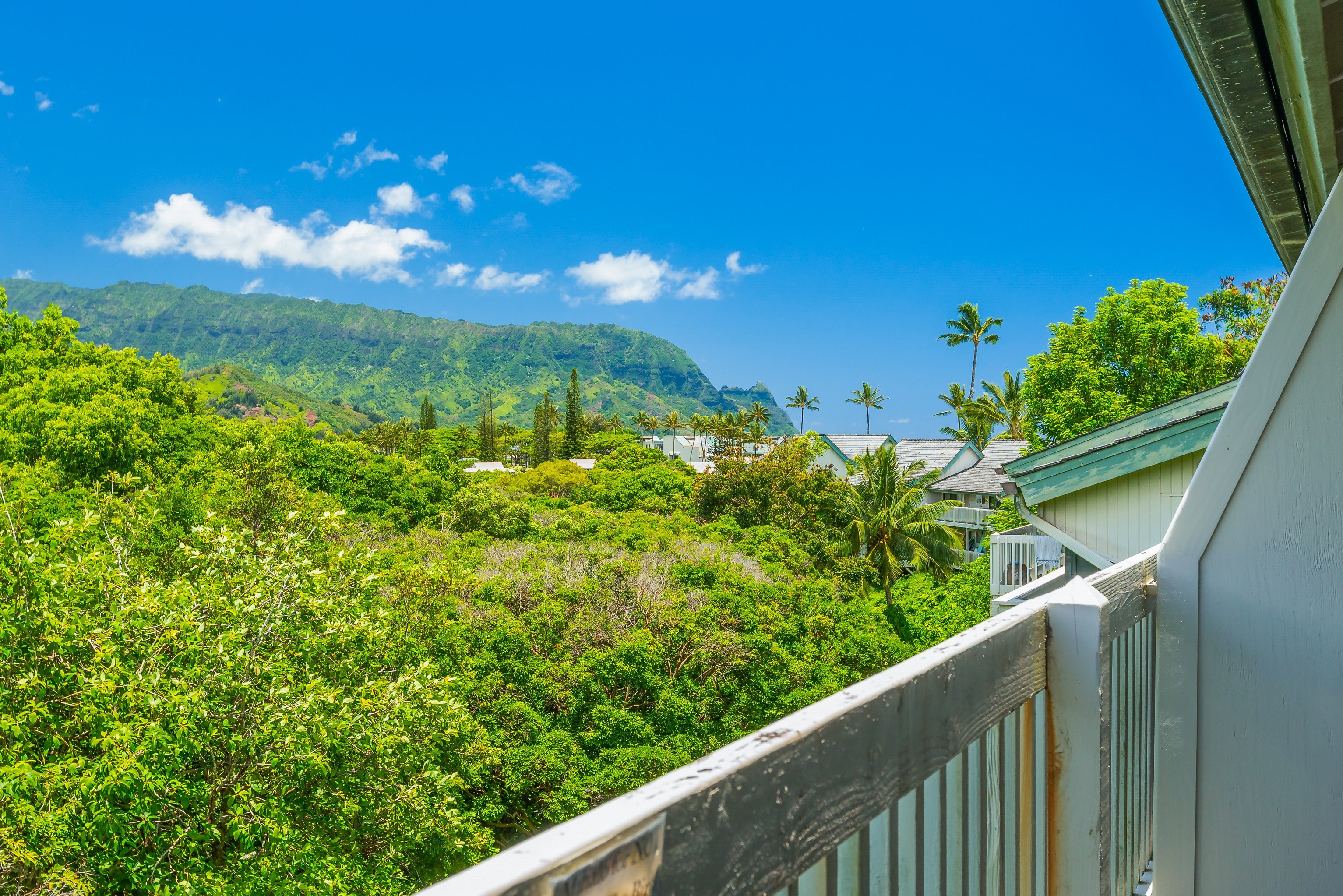 5301 Ka Haku Rd #208 