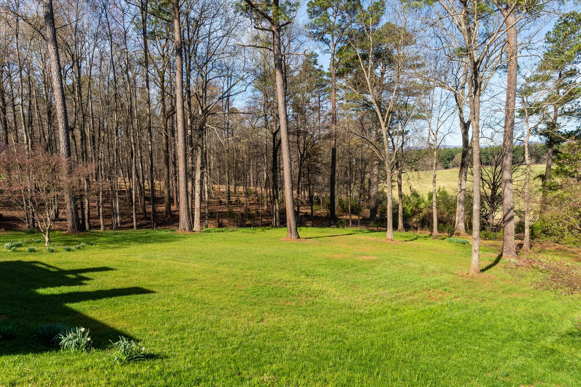 1480 Garth Gate Ln