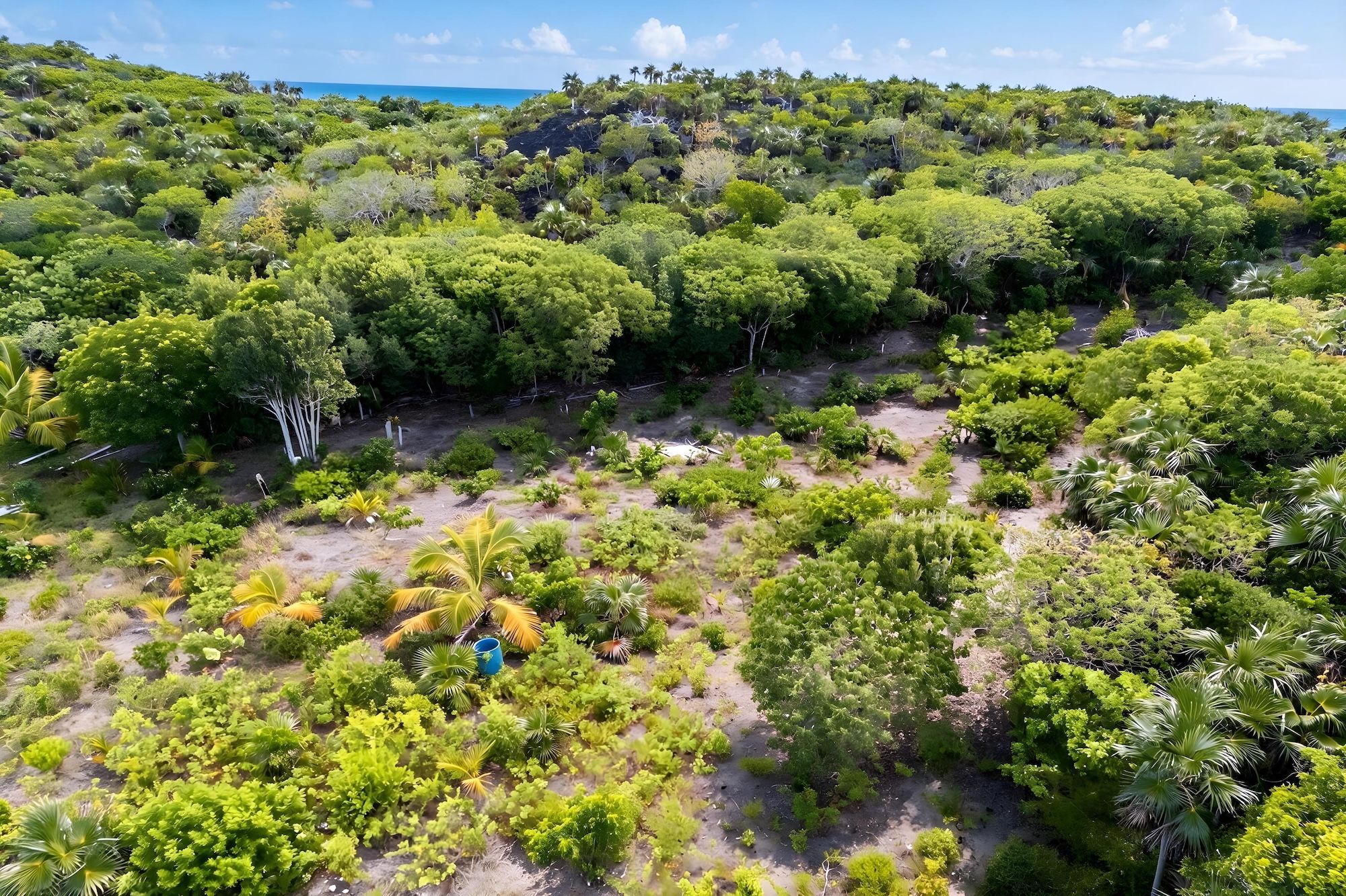 25.38 acres Elizabeth Island 