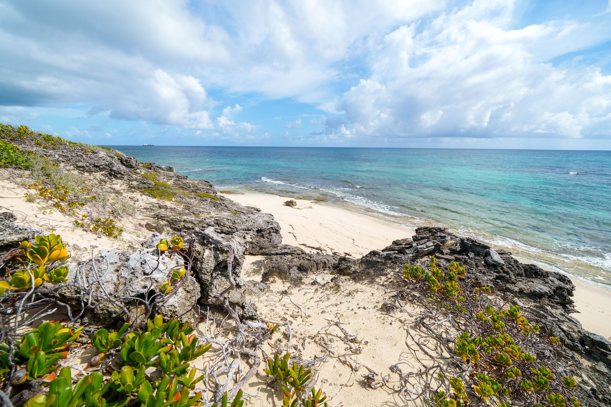 25.38 acres Elizabeth Island 