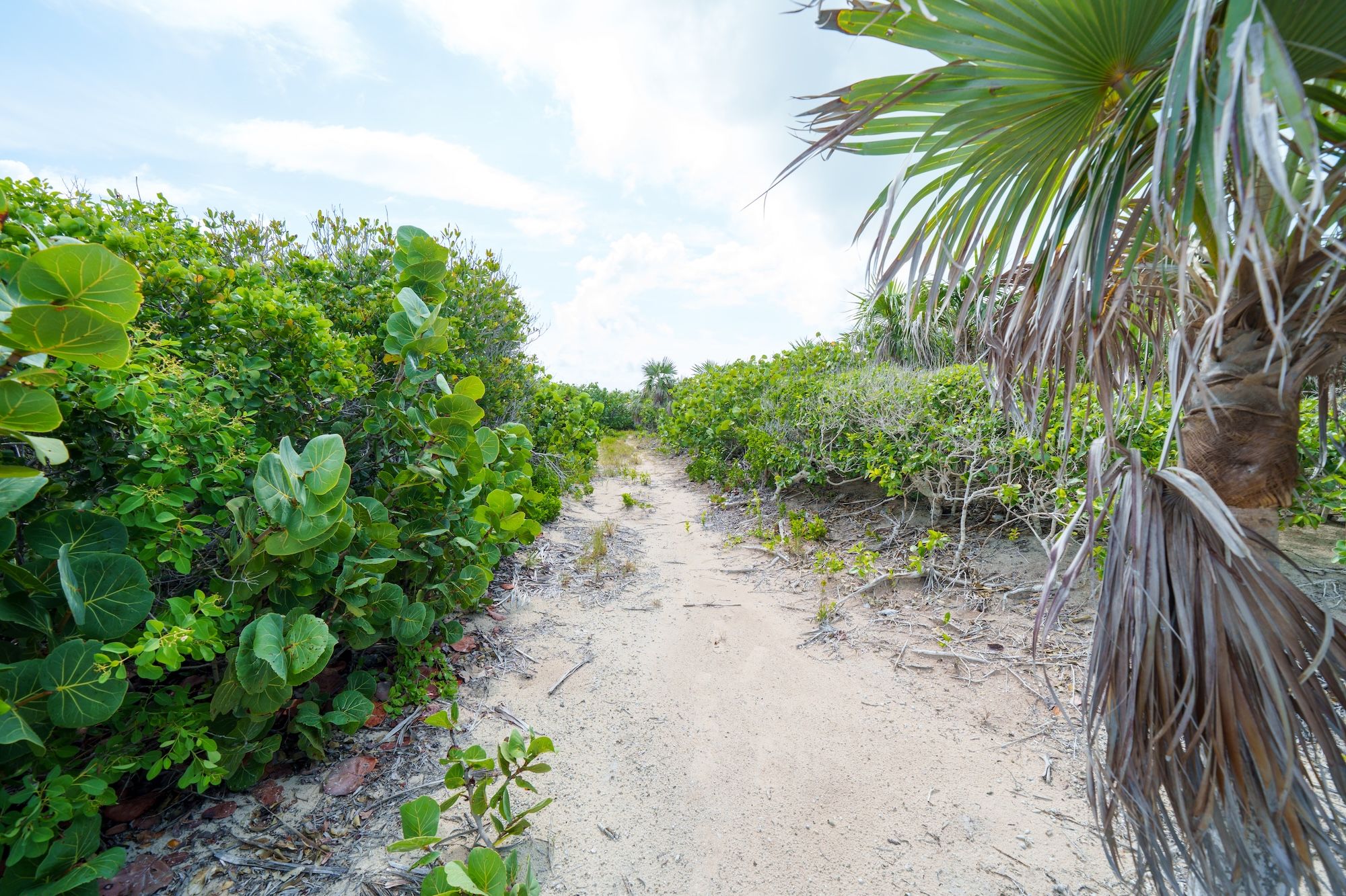25.38 acres Elizabeth Island 