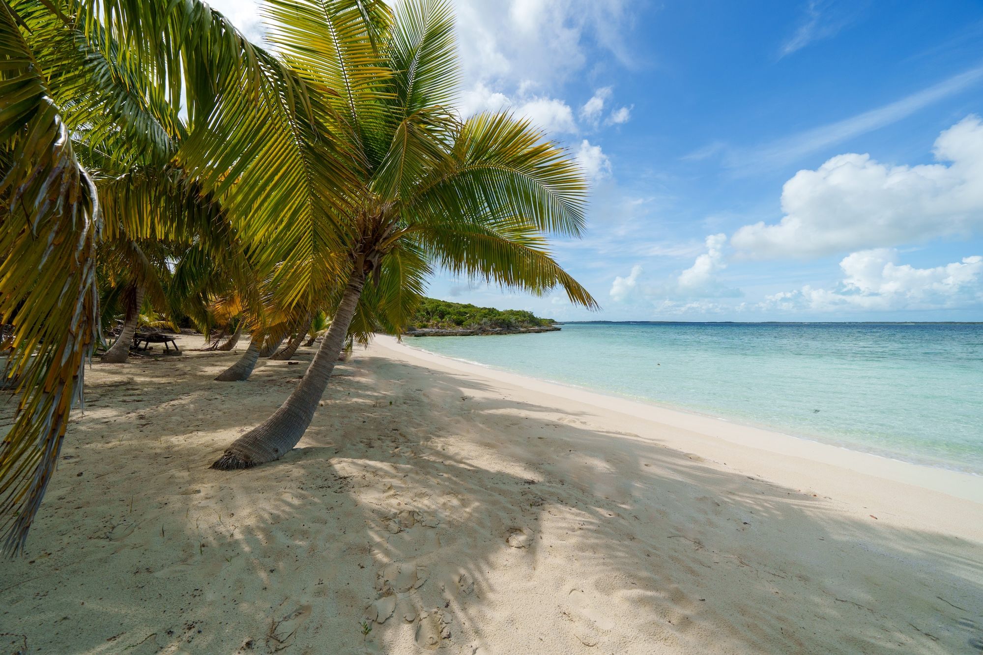 25.38 acres Elizabeth Island 