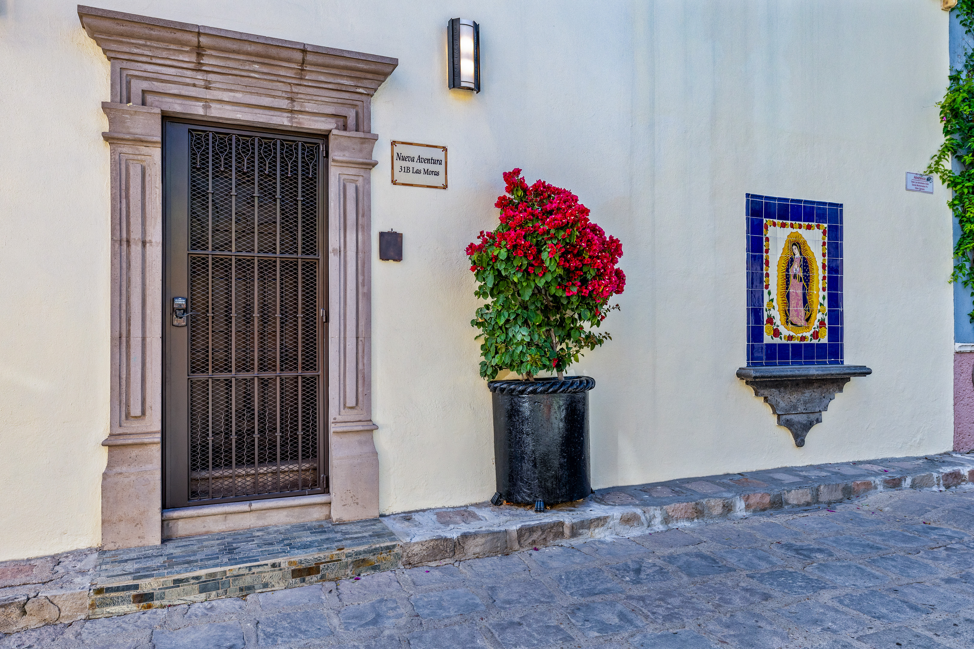 Gorrión 10 Guadiana