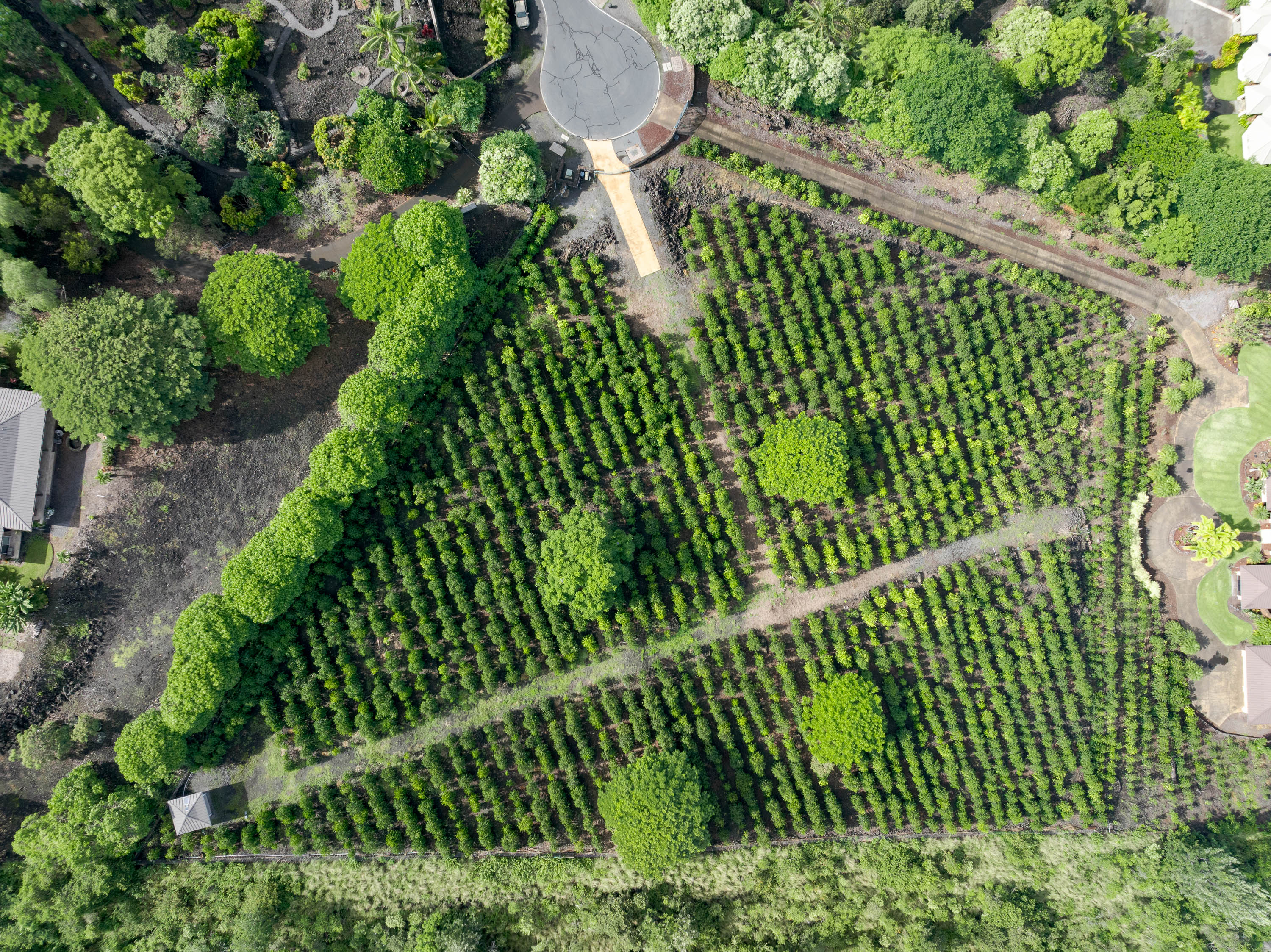 72-4065 Alahee Place 