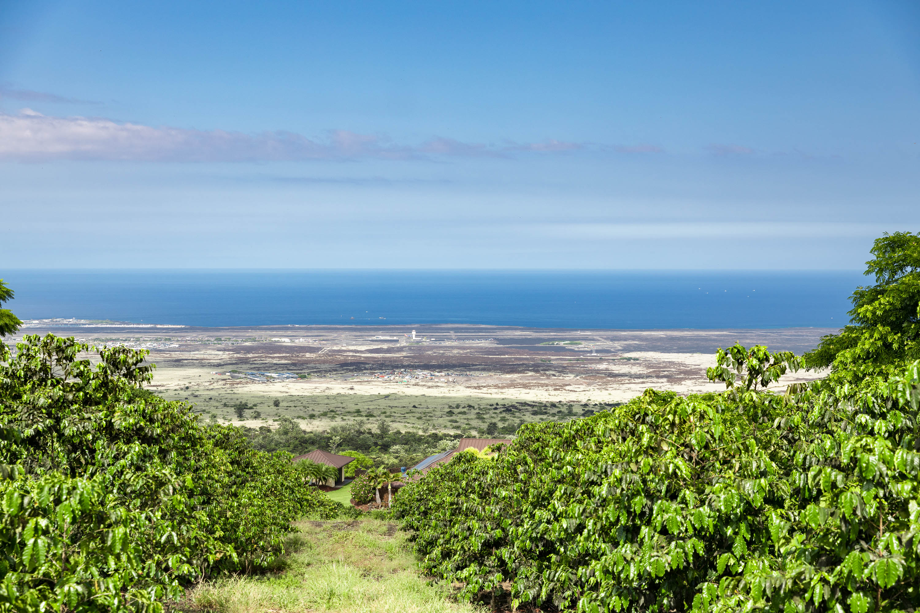 72-4065 Alahee Place 