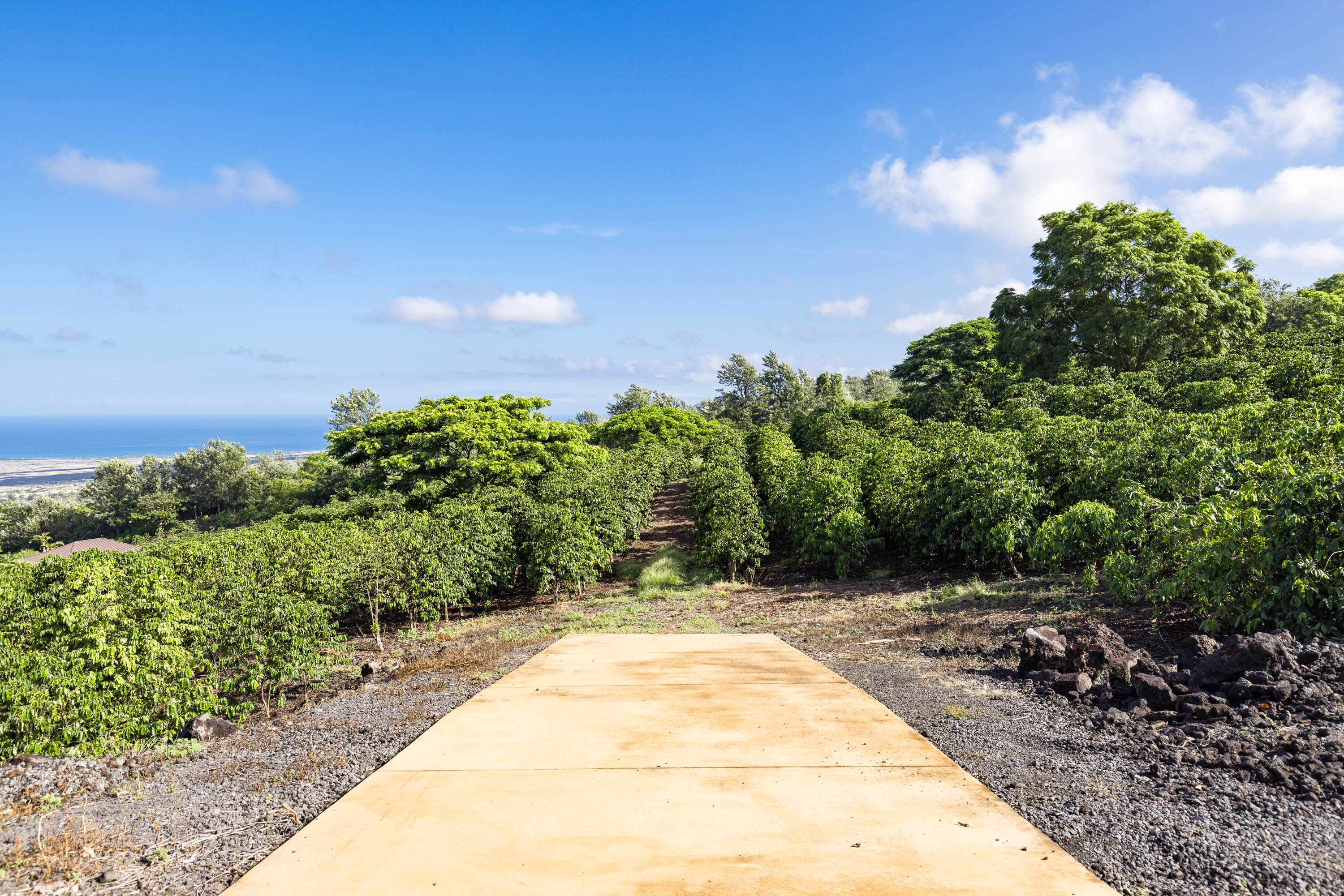 72-4065 Alahee Place 