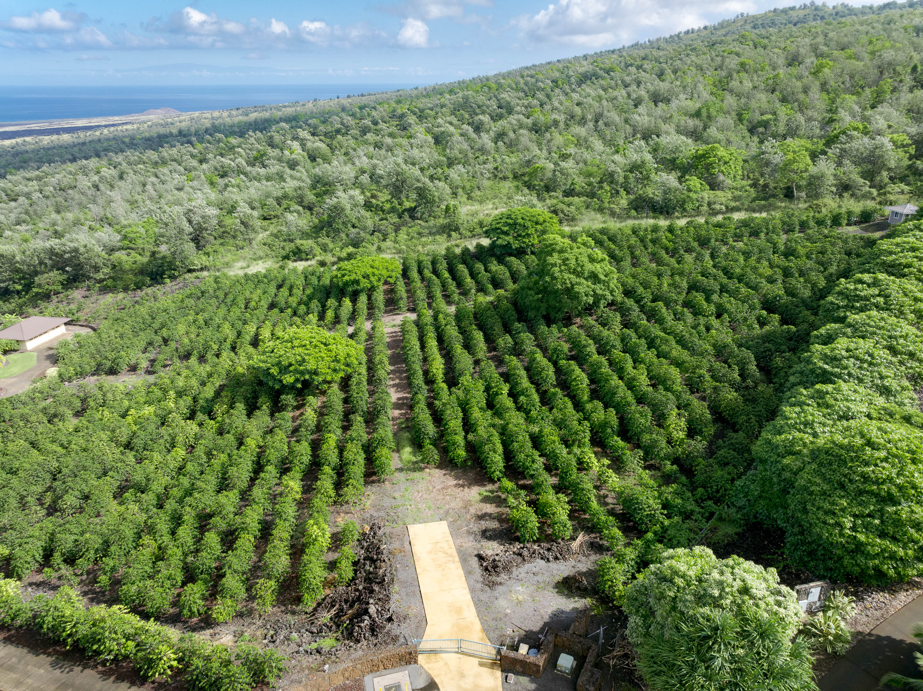 72-4065 Alahee Place 