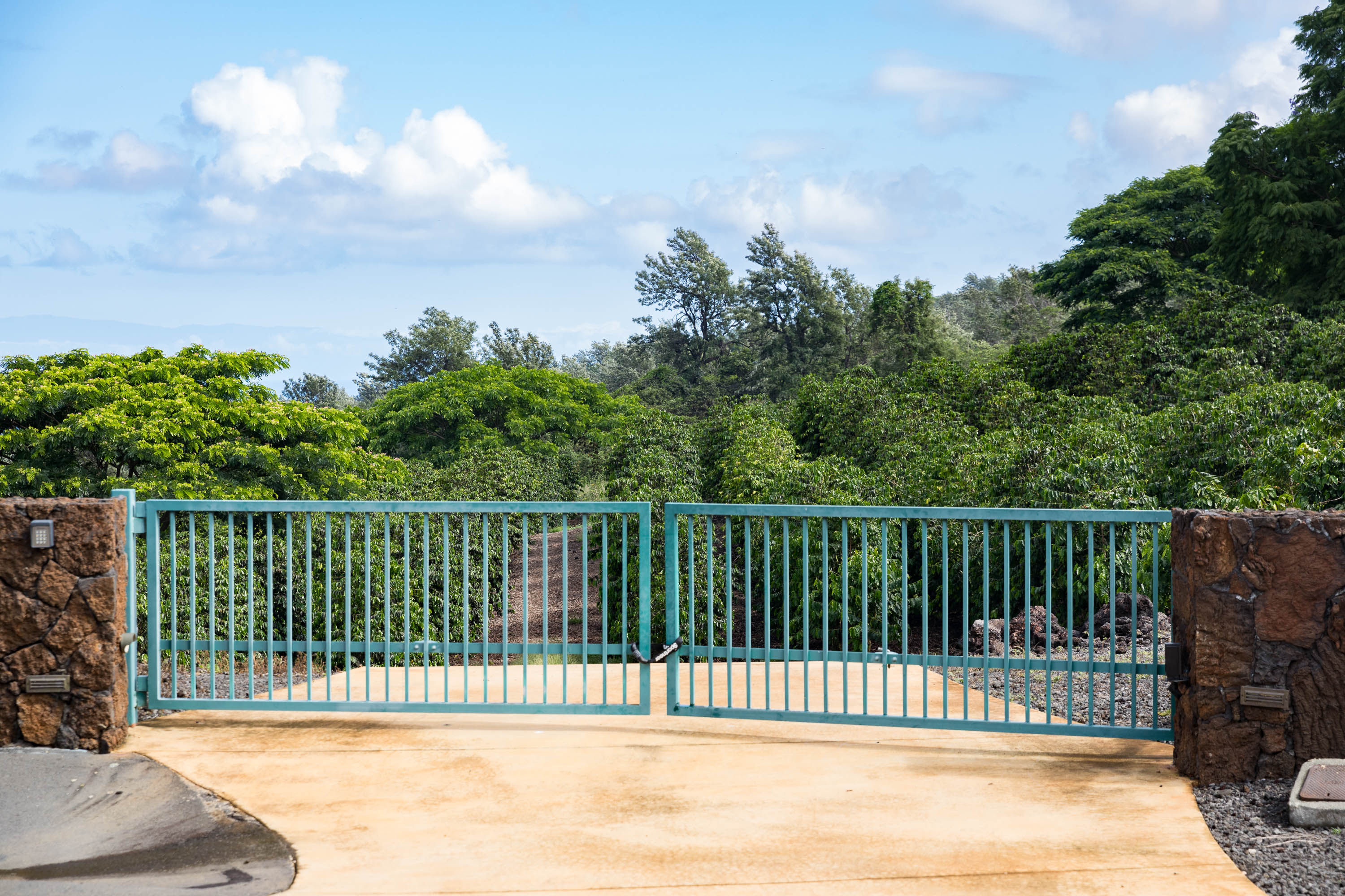 72-4065 Alahee Place 