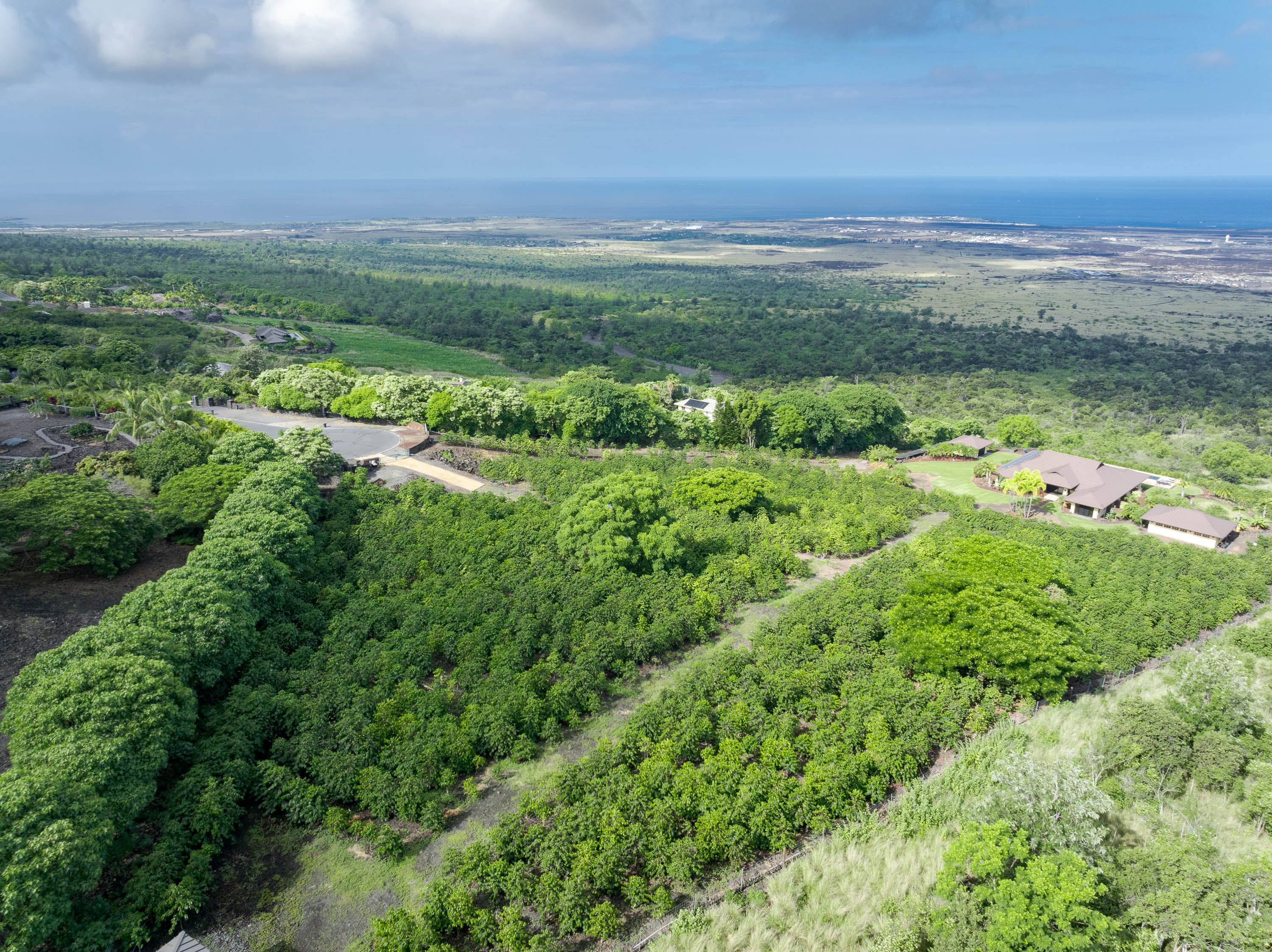 72-4065 Alahee Place 