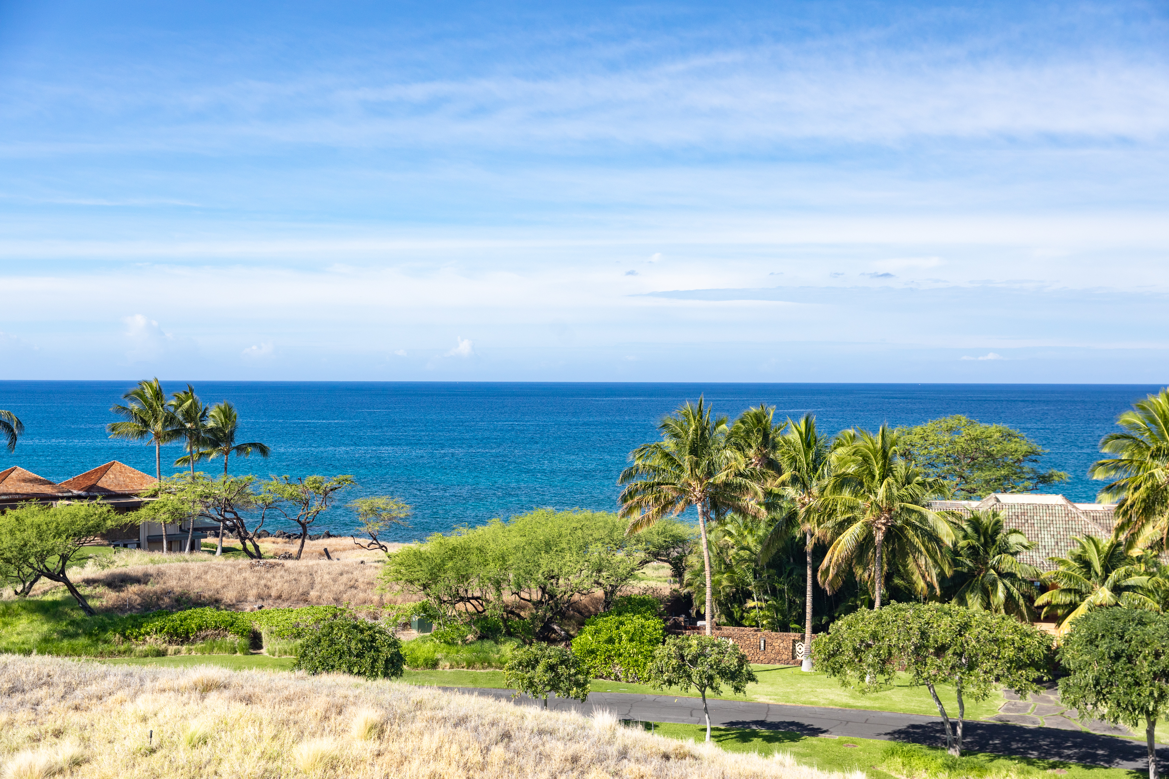 62-3646 Kiekiena Place 