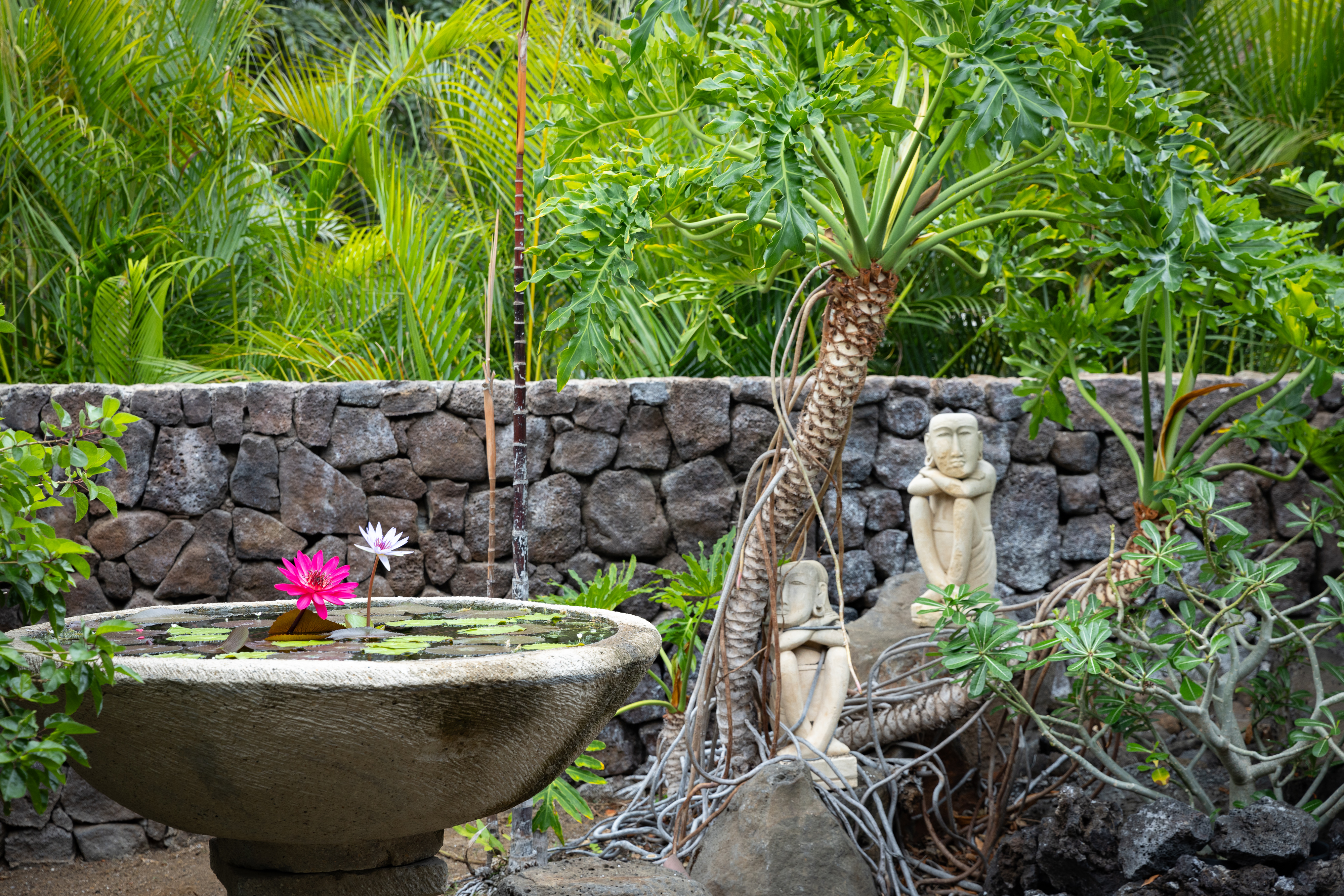 62-3680 Kiekiena Place 