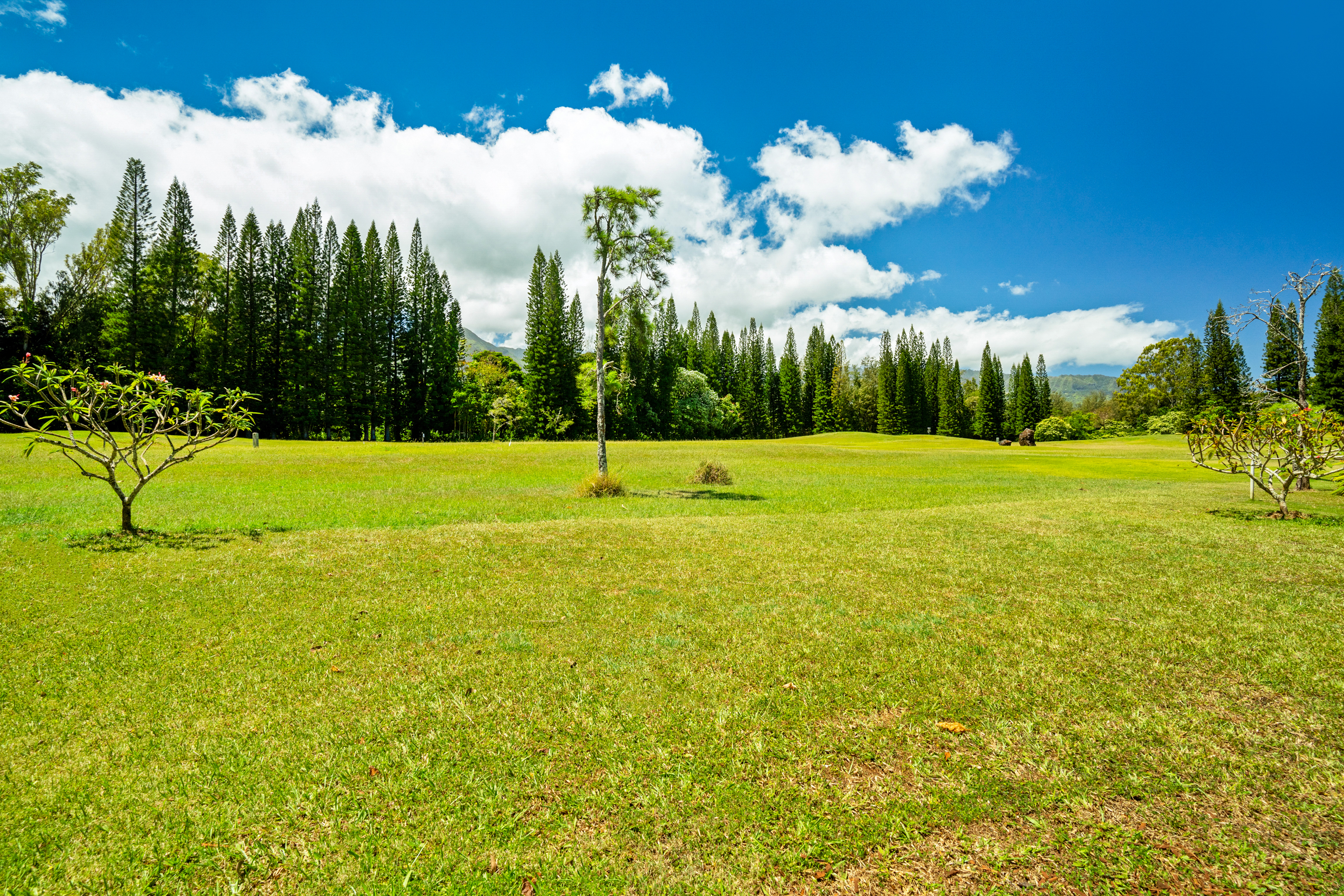 4181 KAMALANI LN 