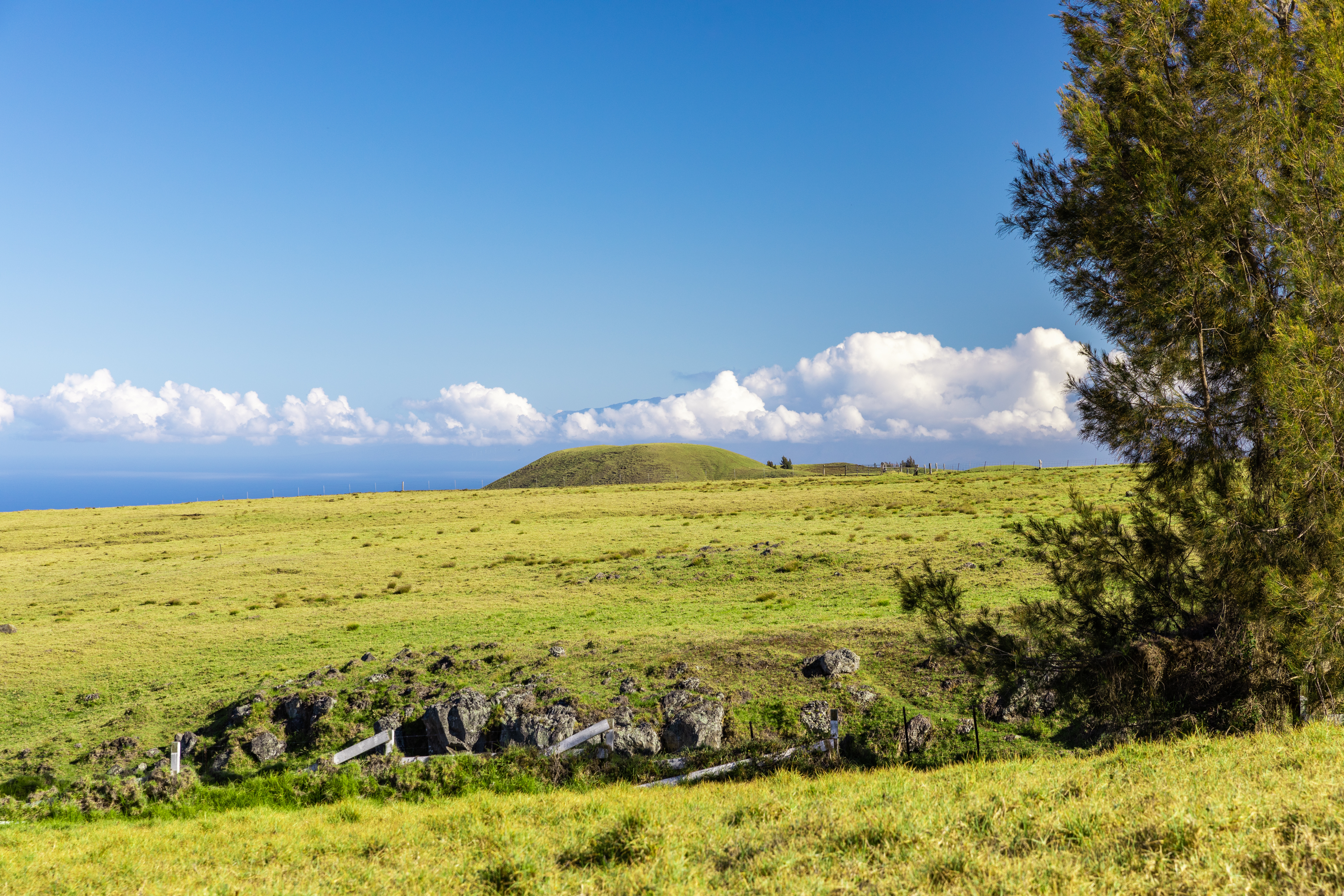 Kohala Ranch Road Lot 365 