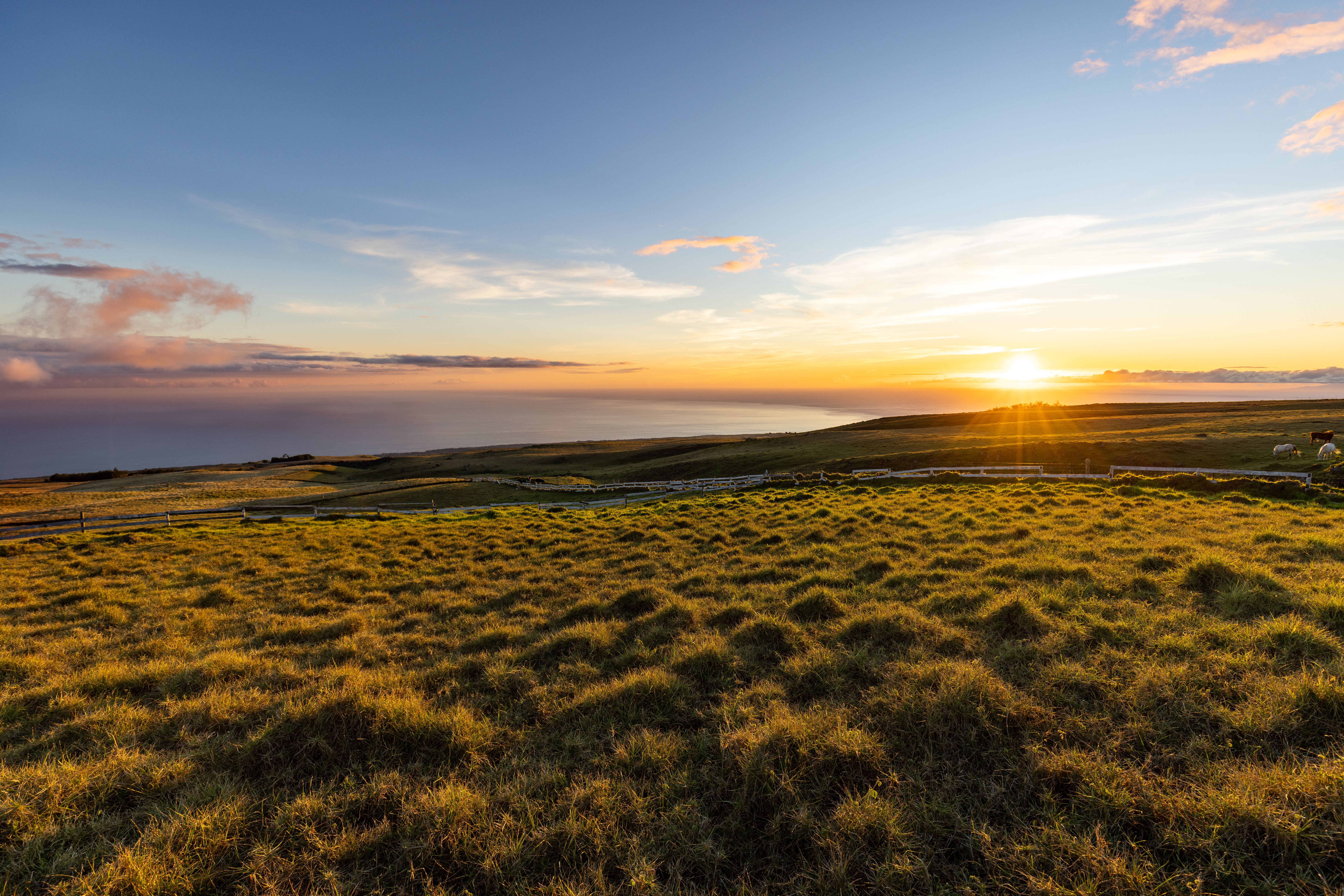 Kohala Ranch Road Lot 365 