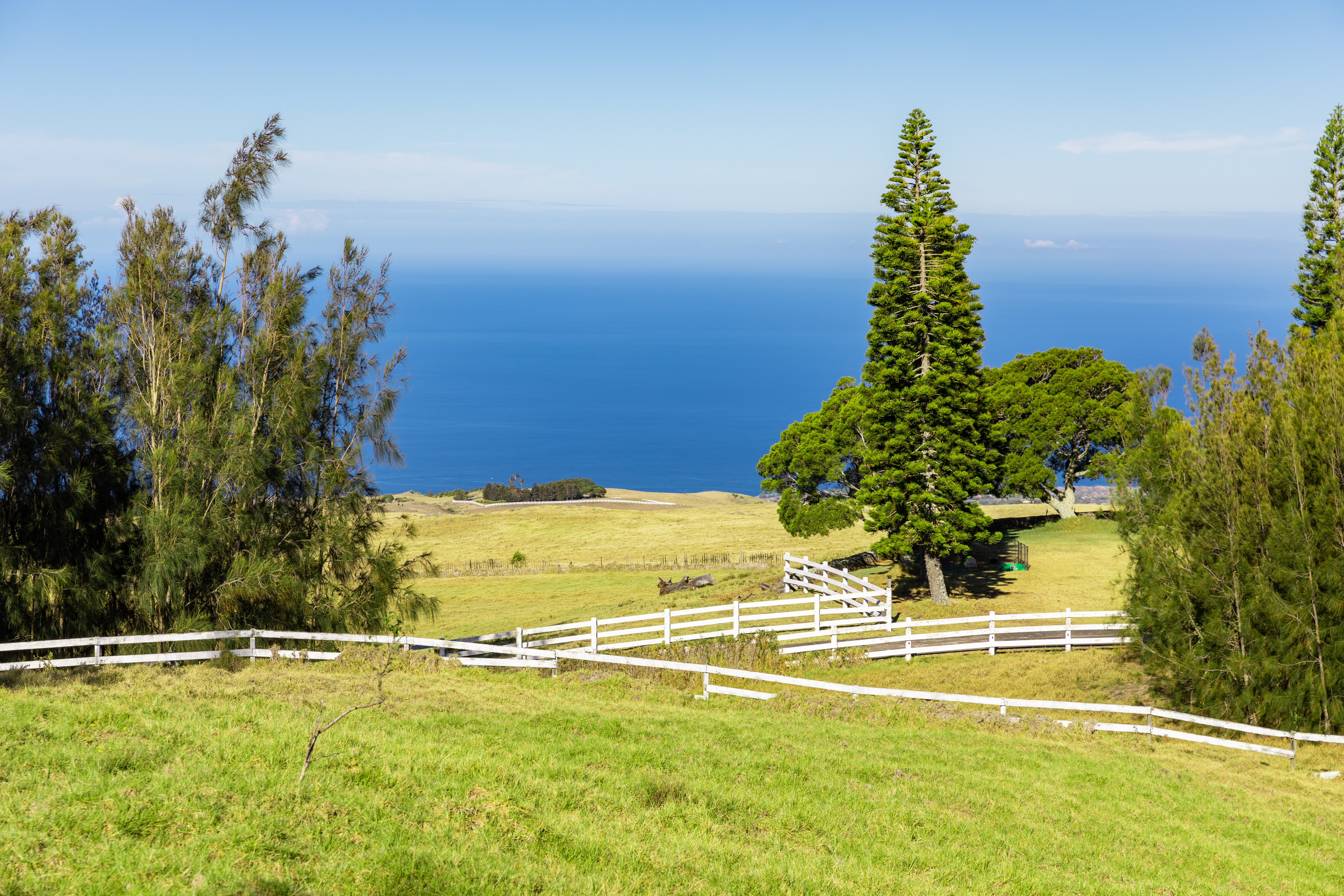 Kohala Ranch Road Lot 365 