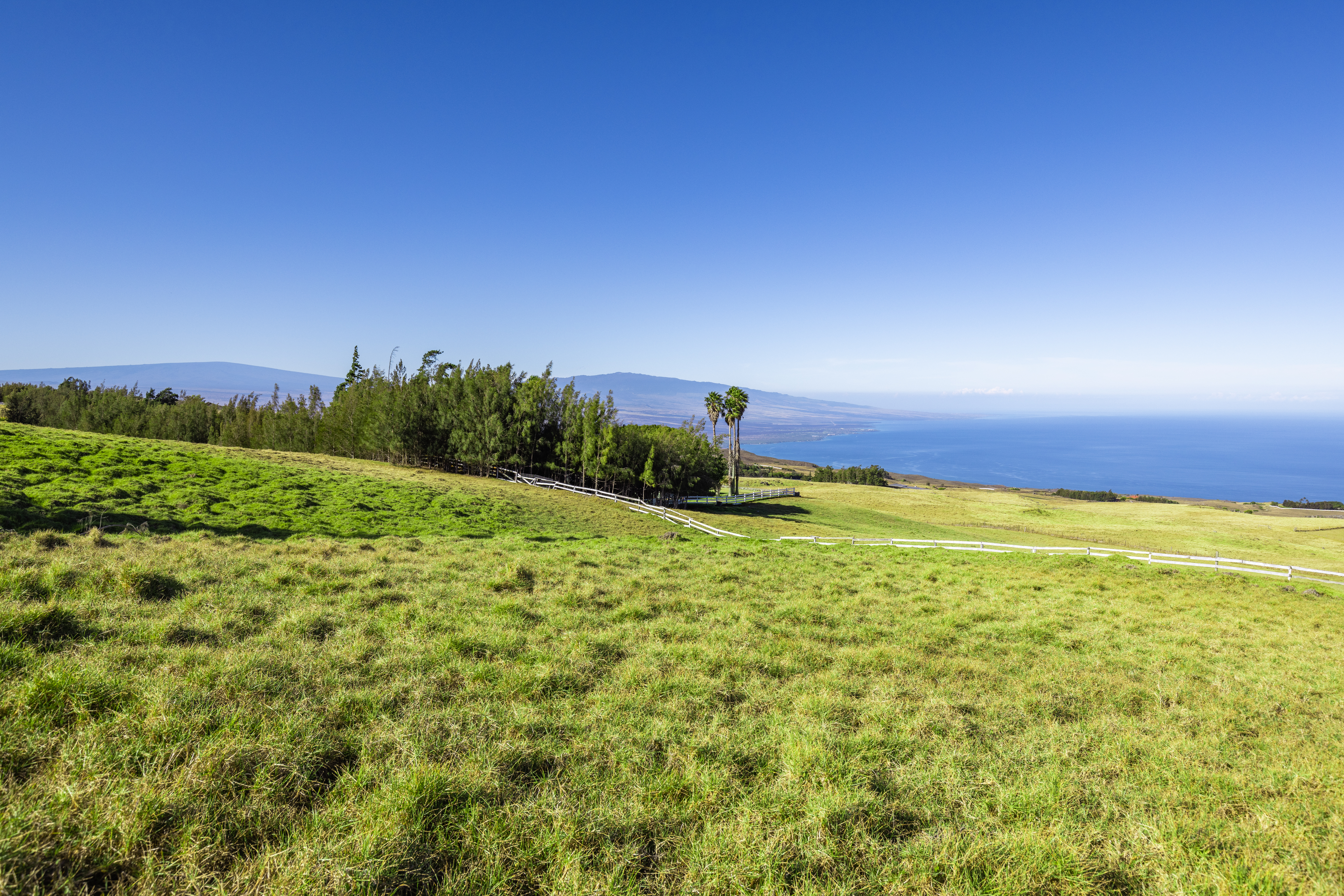 Kohala Ranch Road Lot 365 