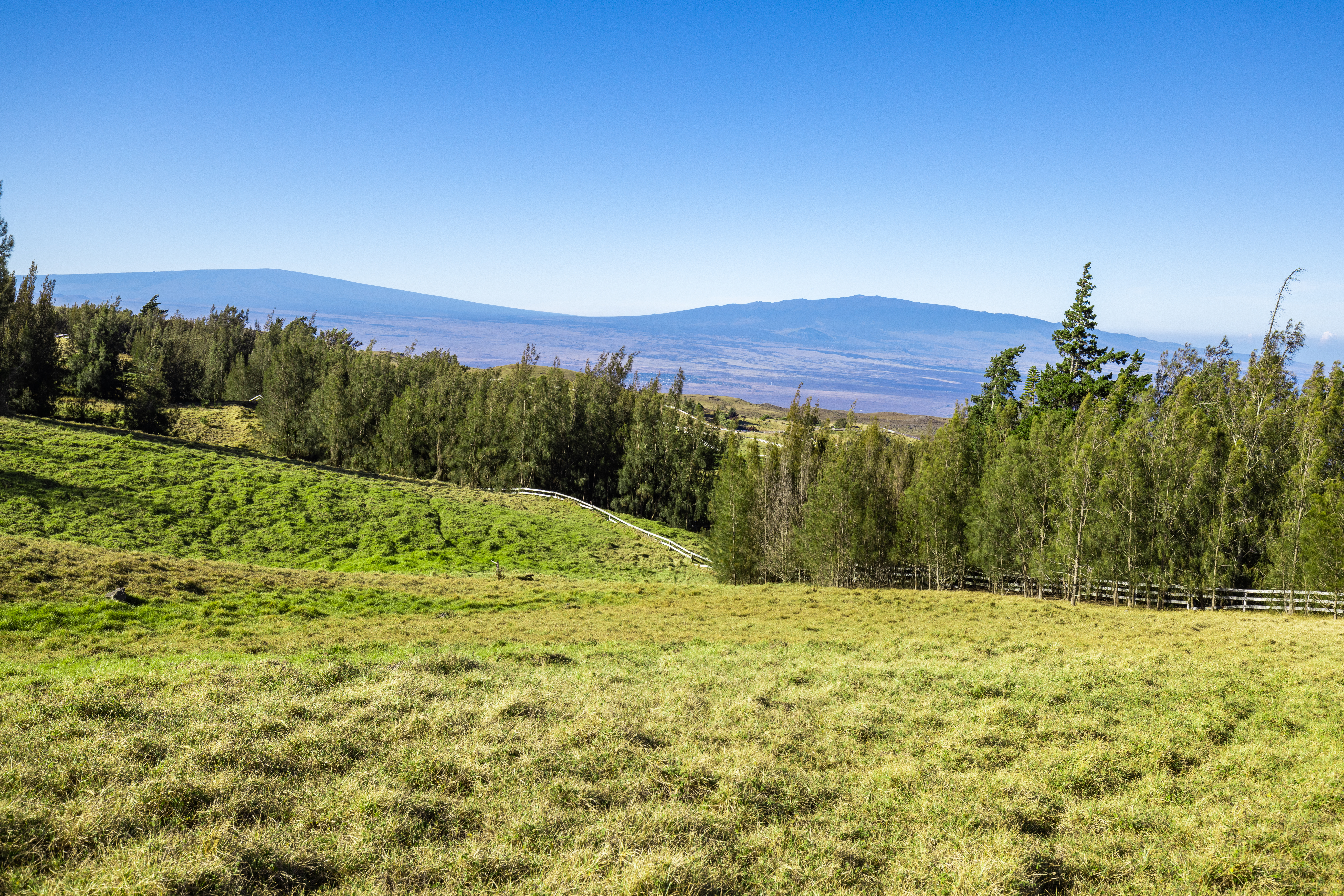 Kohala Ranch Road Lot 365 