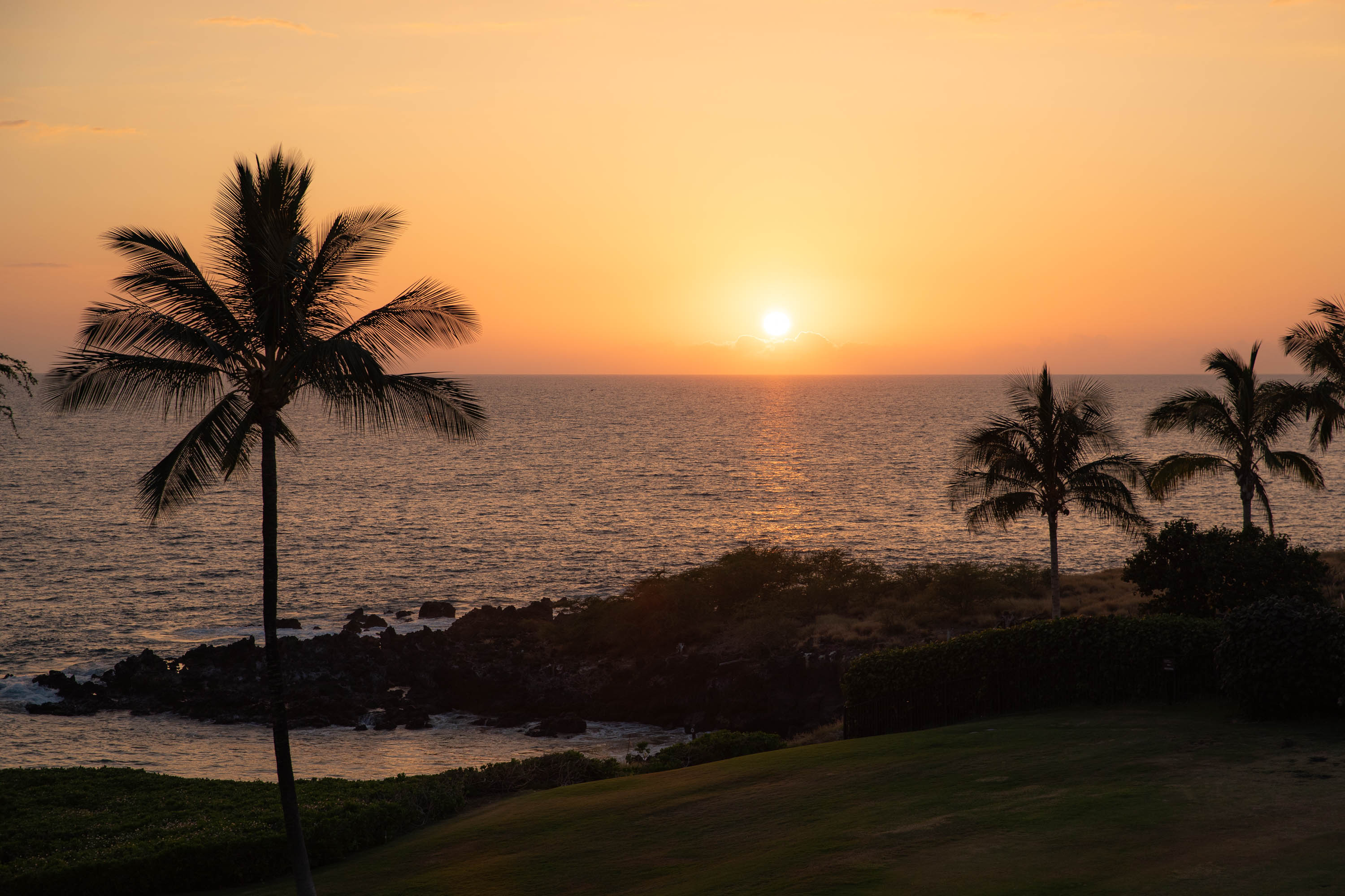 66-84 Kaunaʻoa Drive #C41