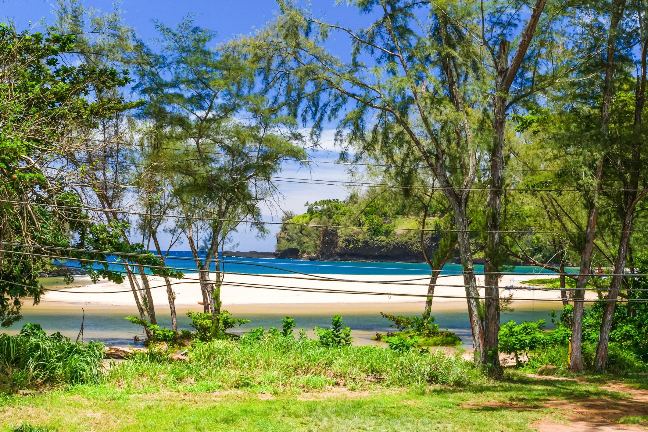 3181 Kalihiwai Rd Unit# 2