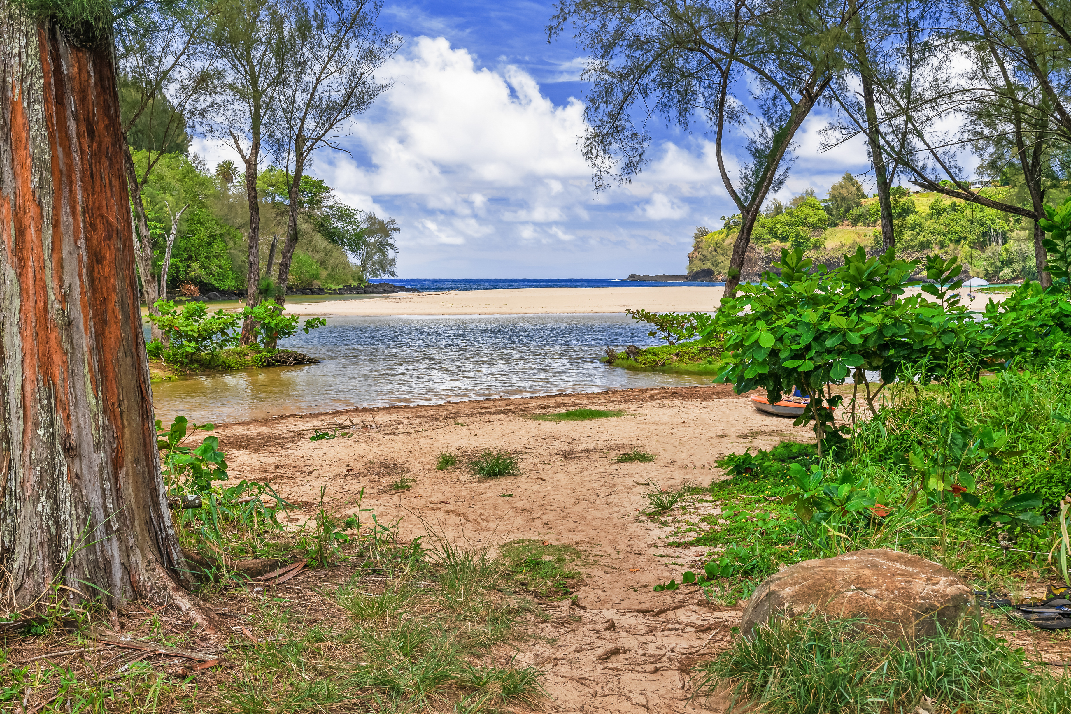 3181 Kalihiwai Rd Unit# 2