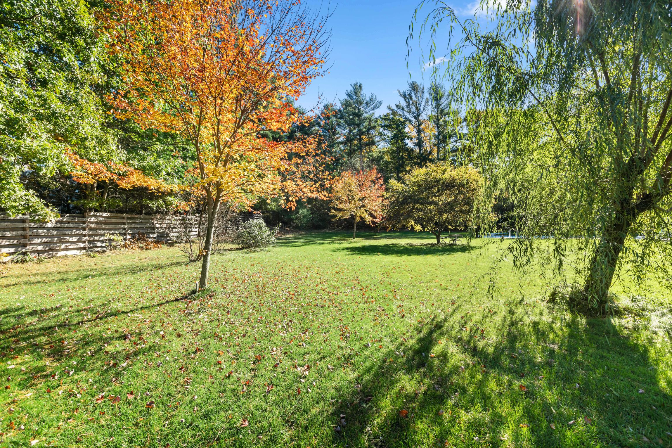 169 Delorenzo Drive