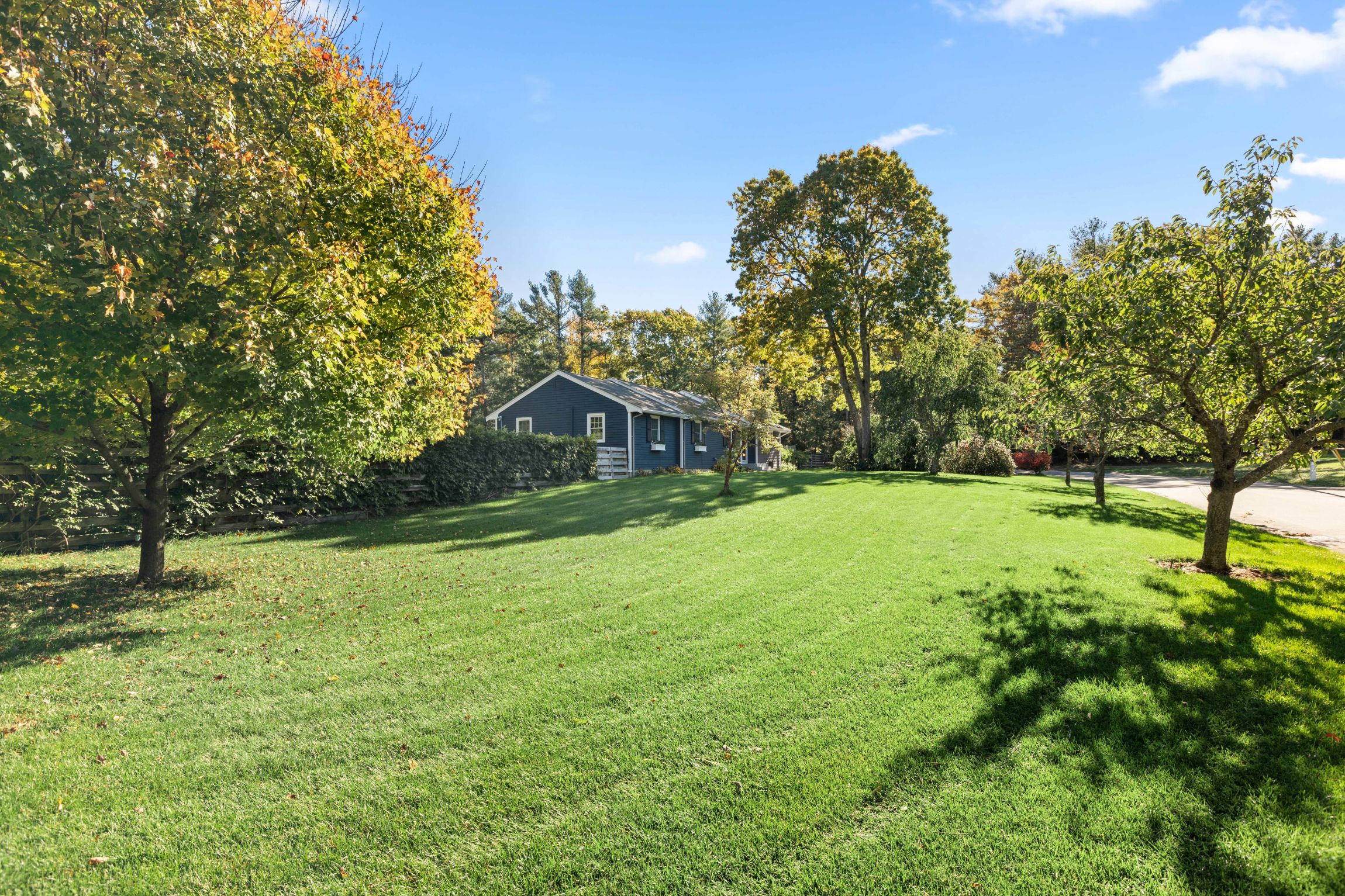 169 Delorenzo Drive