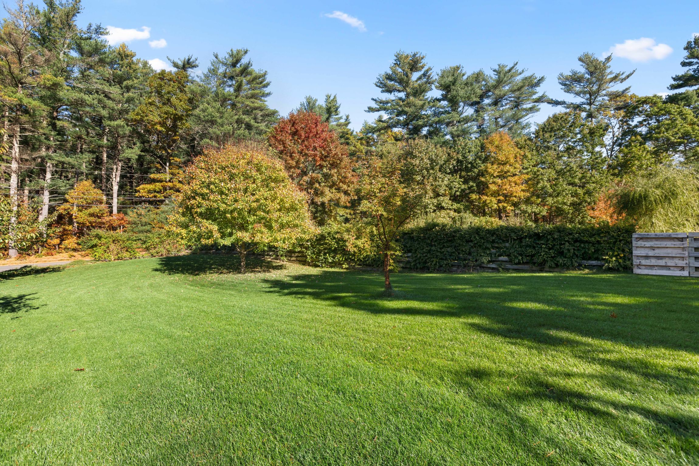 169 Delorenzo Drive