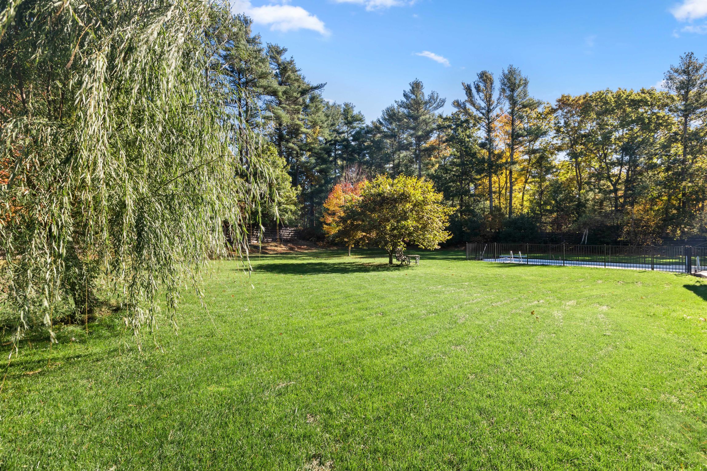 169 Delorenzo Drive