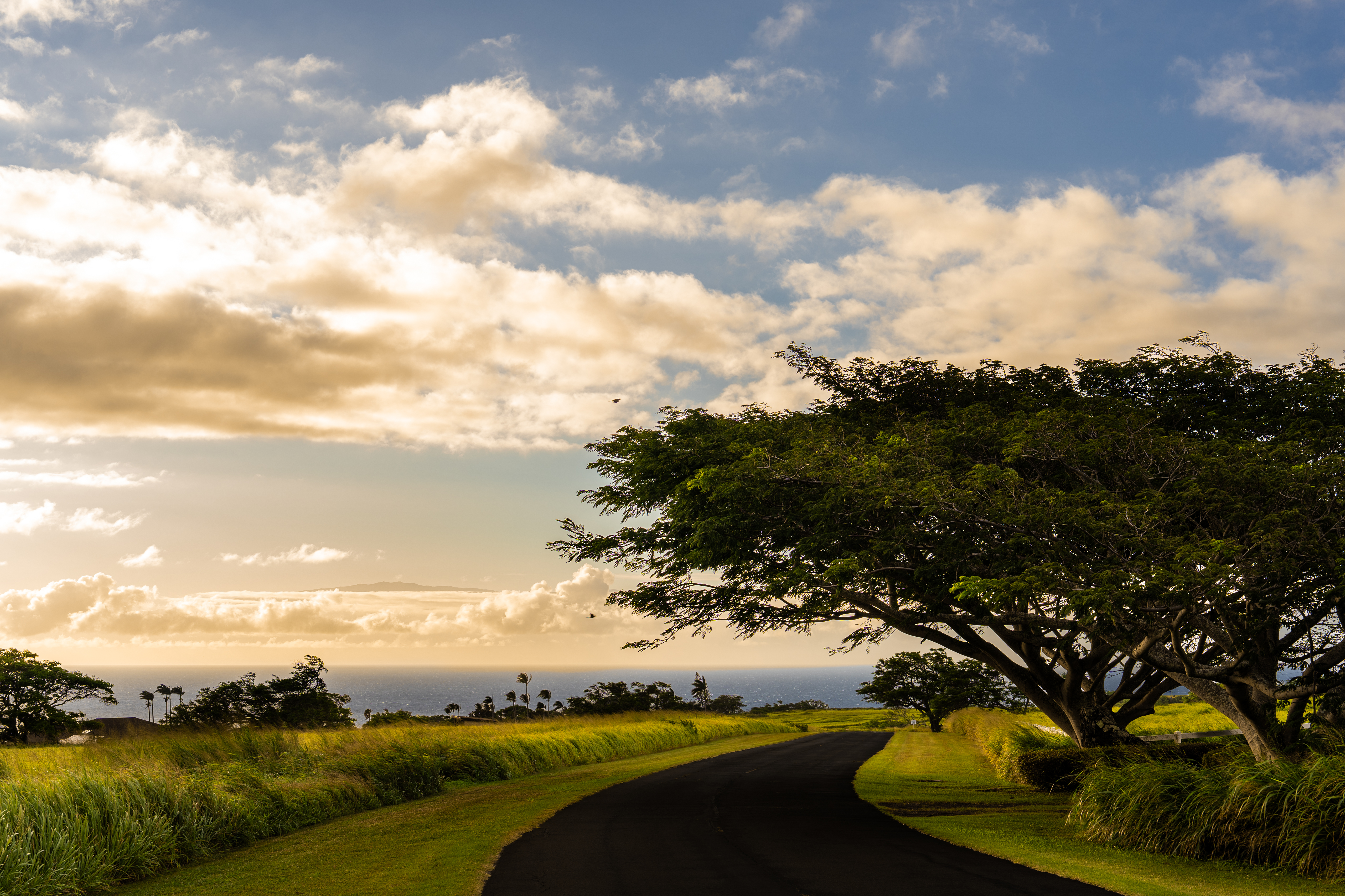 56-2881 HALEAKALA VIEW PL 