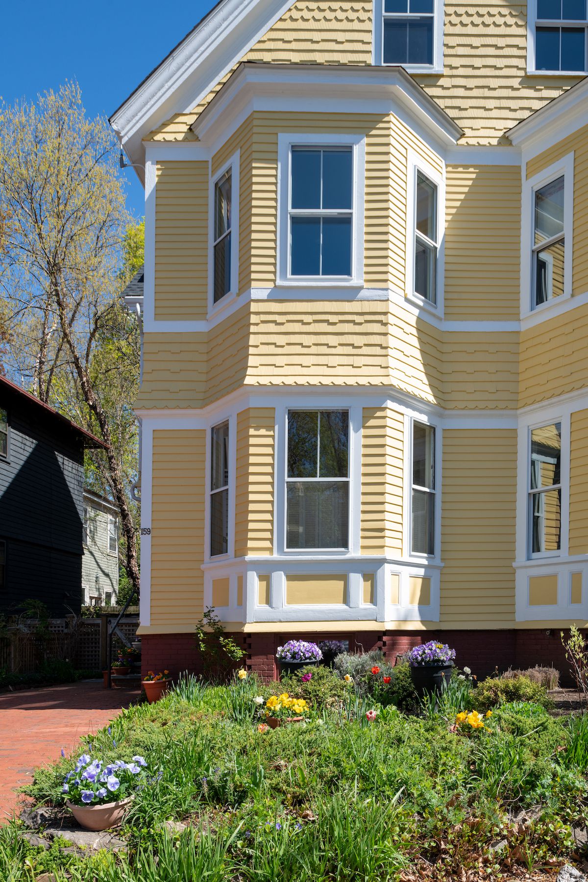 159 Mount Auburn Street 