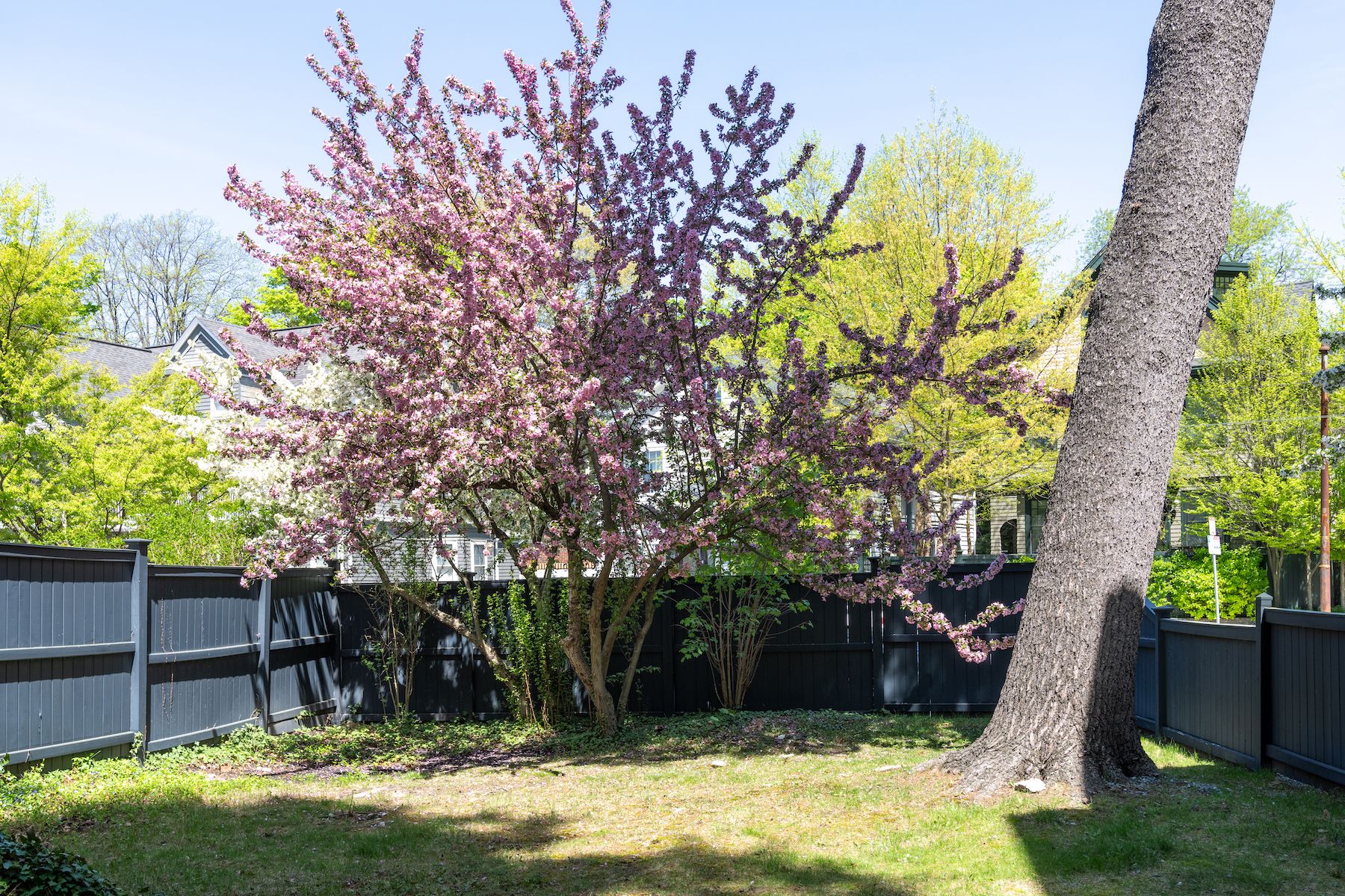 9 Wyman Road 