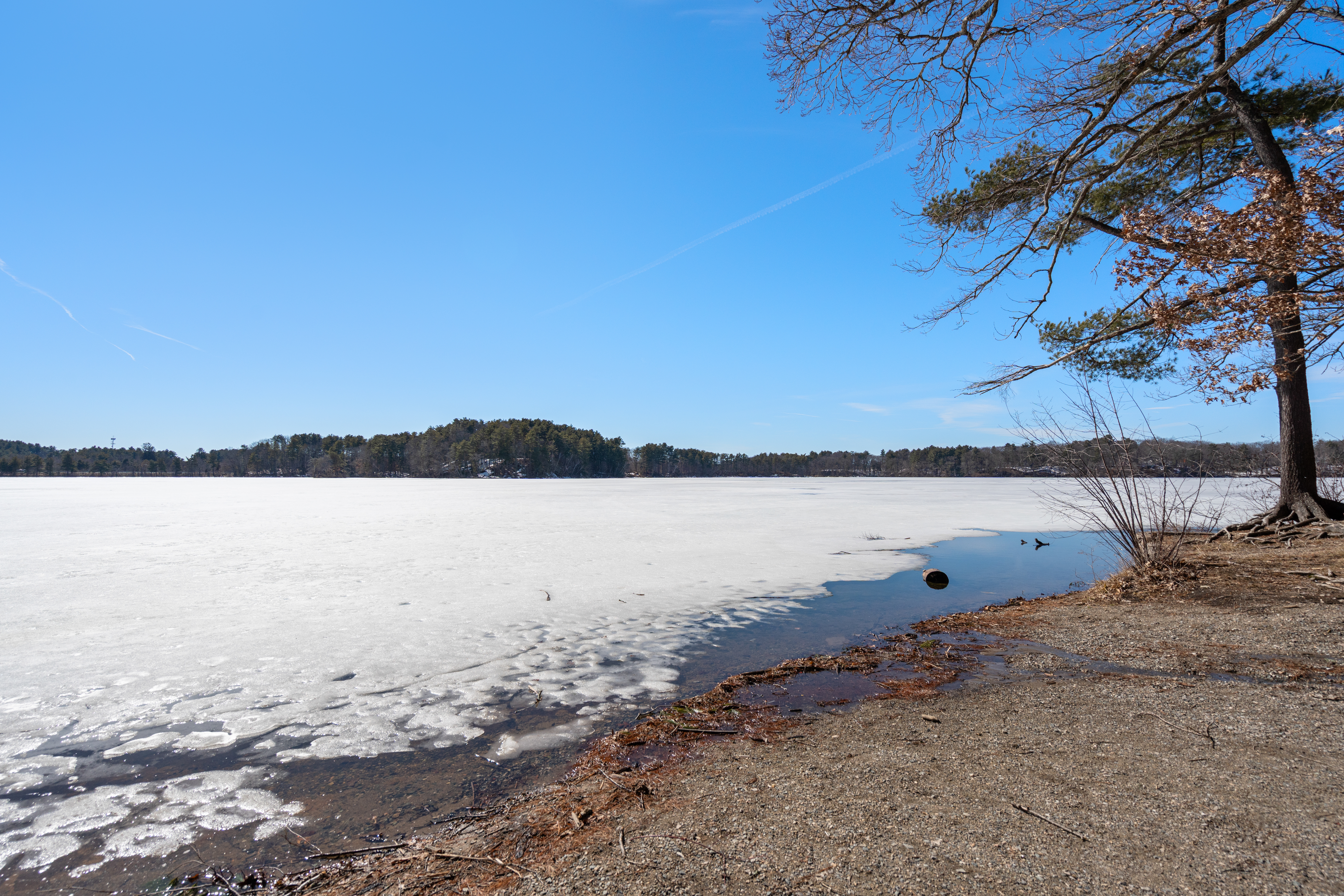 85 Lake Road Terrace 